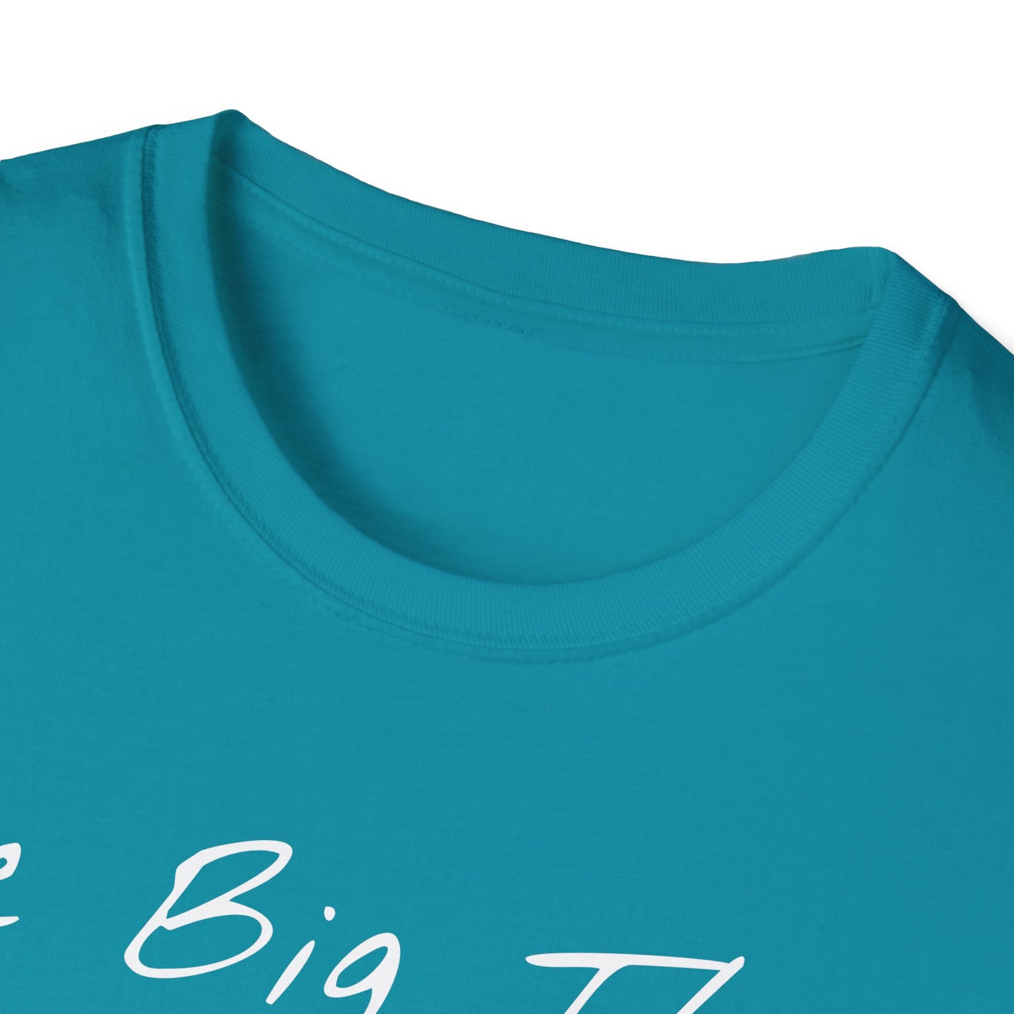 Big Thaw, Unisex Softstyle T-Shirt - Psychonaut Swag