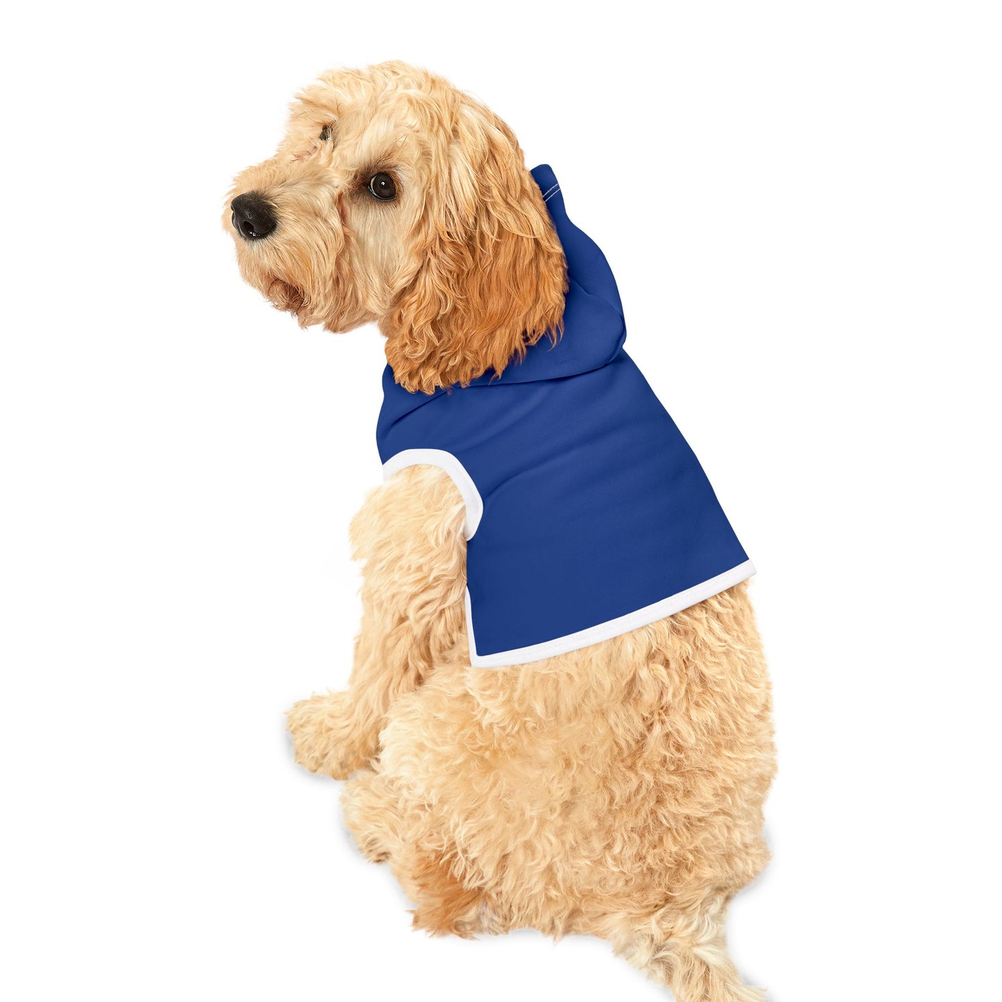Blue Pet Hoodie, Hoodies for Hounds - Psychonaut Swag