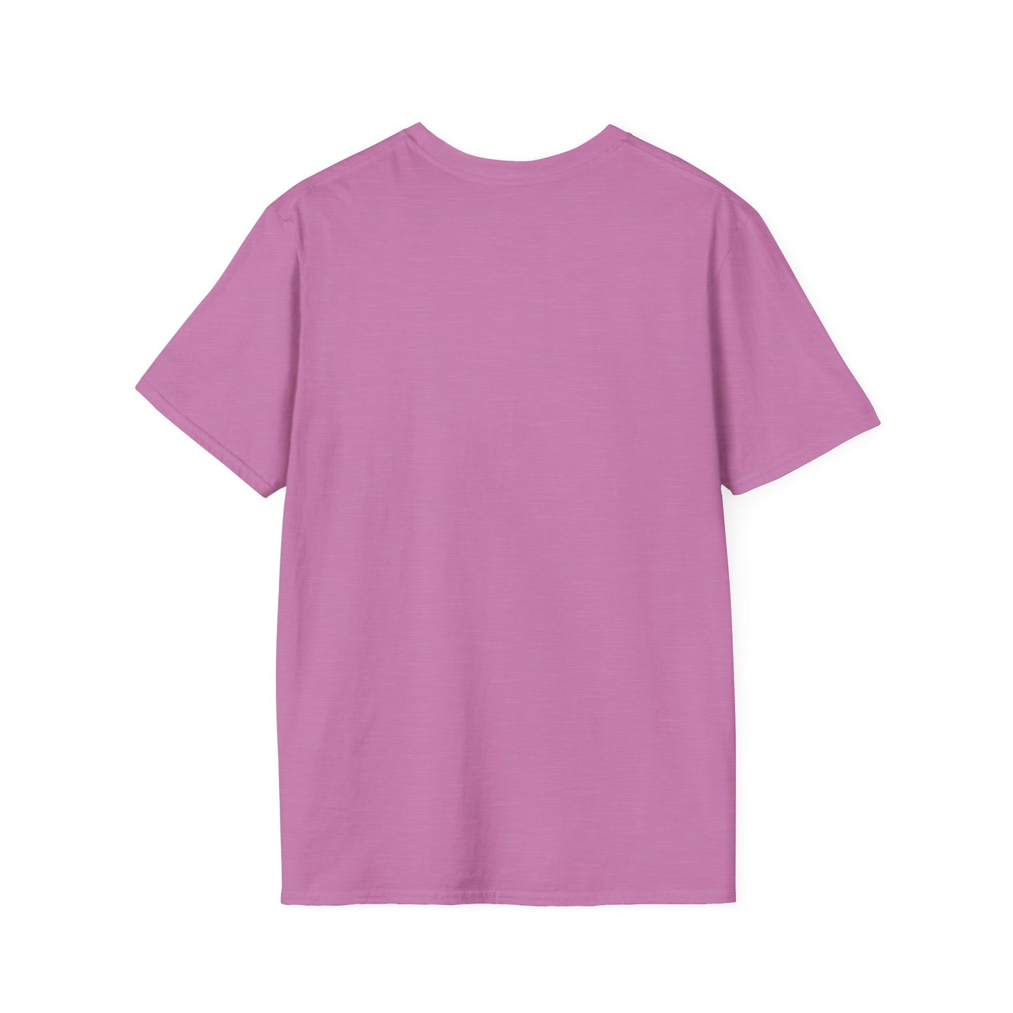 Hold On, Unisex Softstyle T-Shirt - Psychonaut Swag