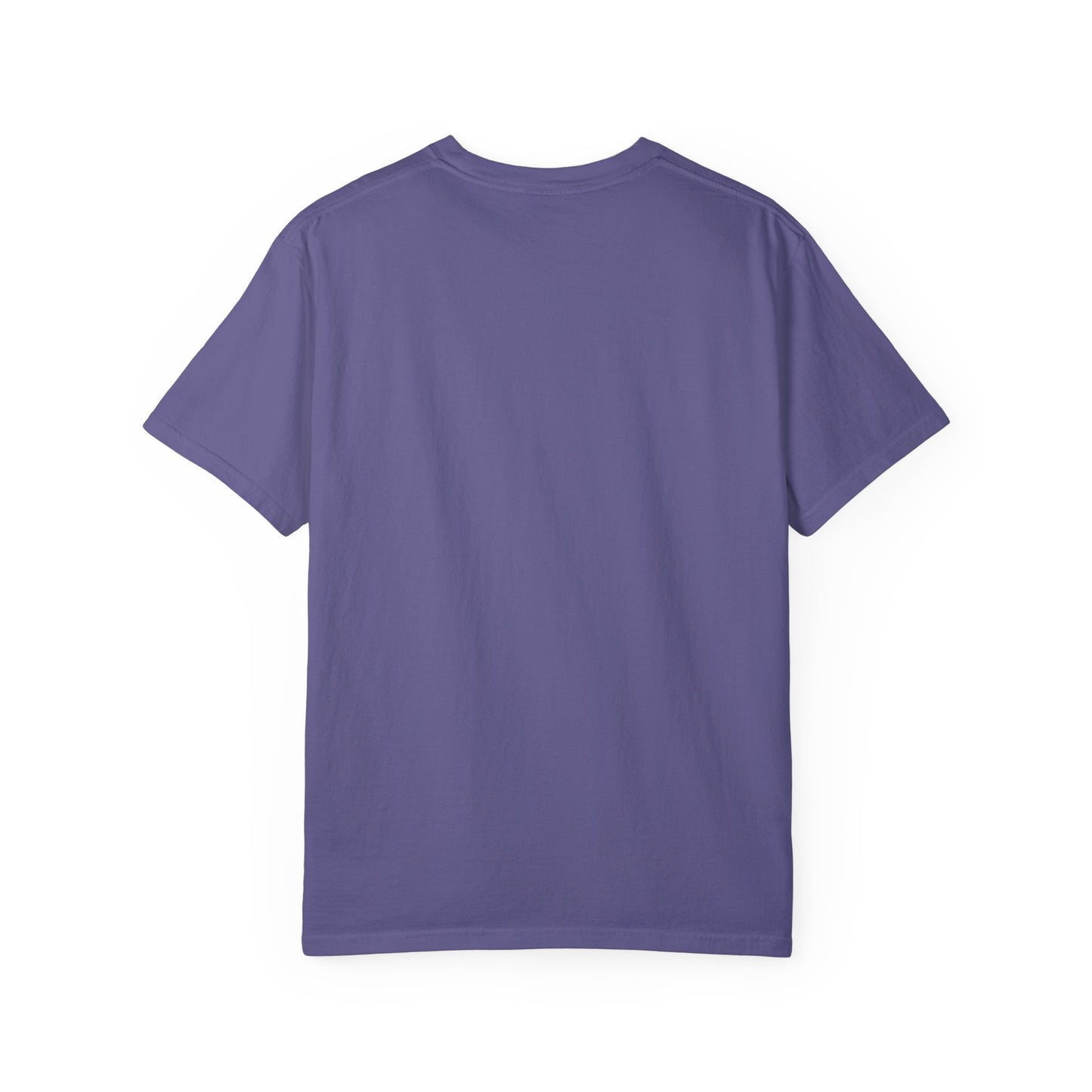 Unisex Garment-Dyed T-shirt - Psychonaut Swag