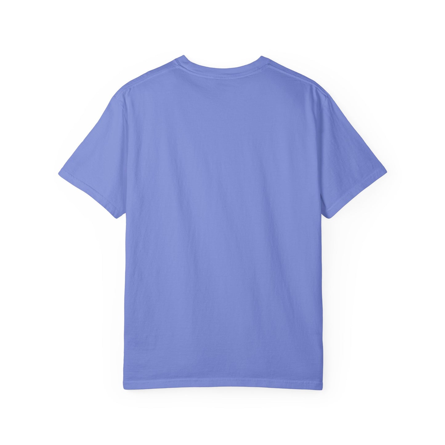 Mushroom Gift from Visitors, Unisex Garment-Dyed T-shirt - Psychonaut Swag