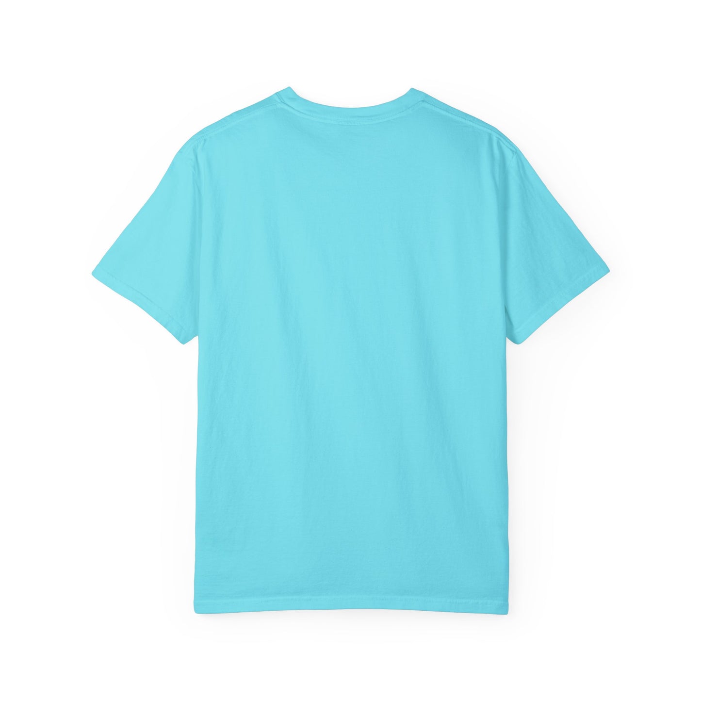 Unisex Garment-Dyed T-shirt - Psychonaut Swag