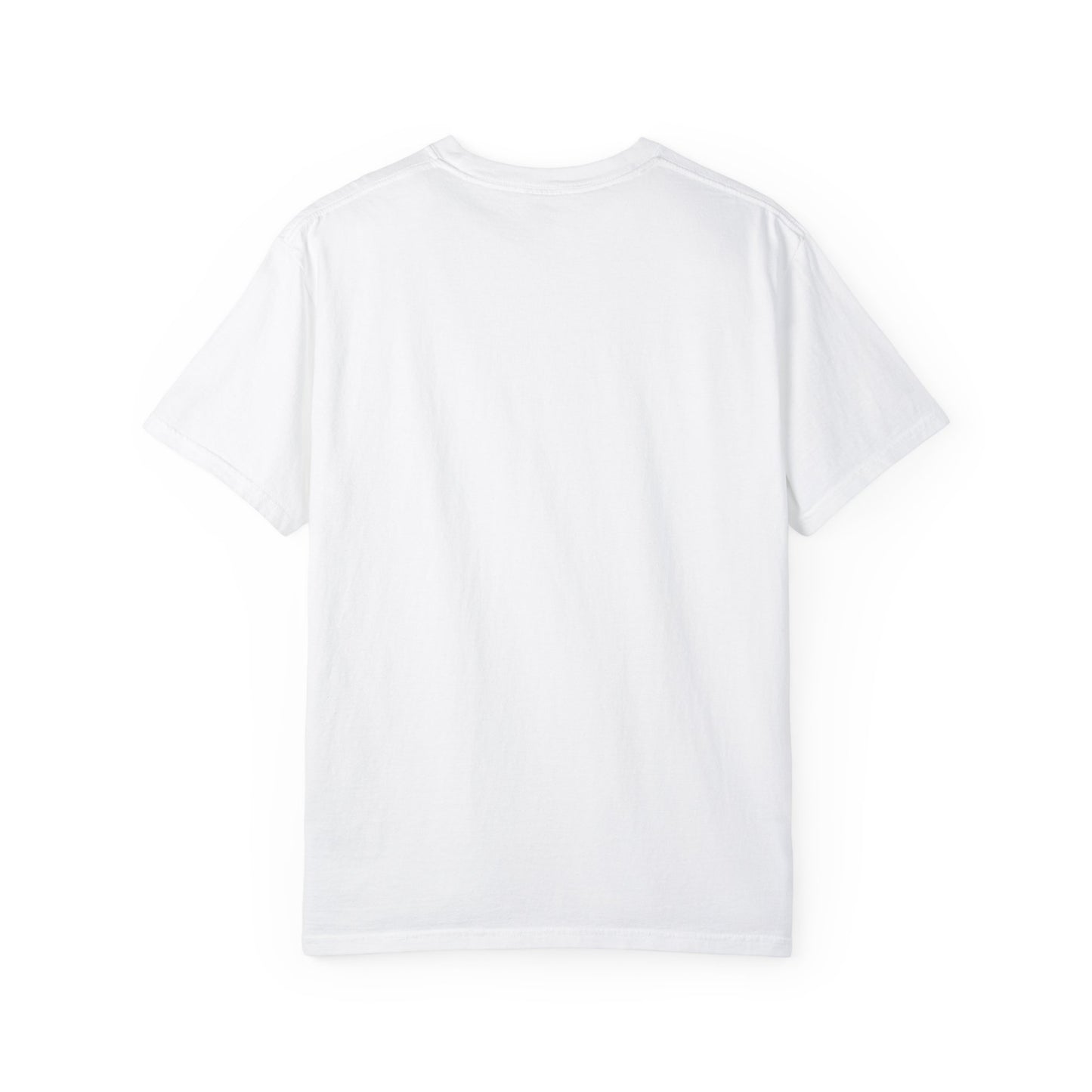 Highly Sus Unisex Garment-Dyed T-shirt - Trendy Casual Wear - Psychonaut Swag