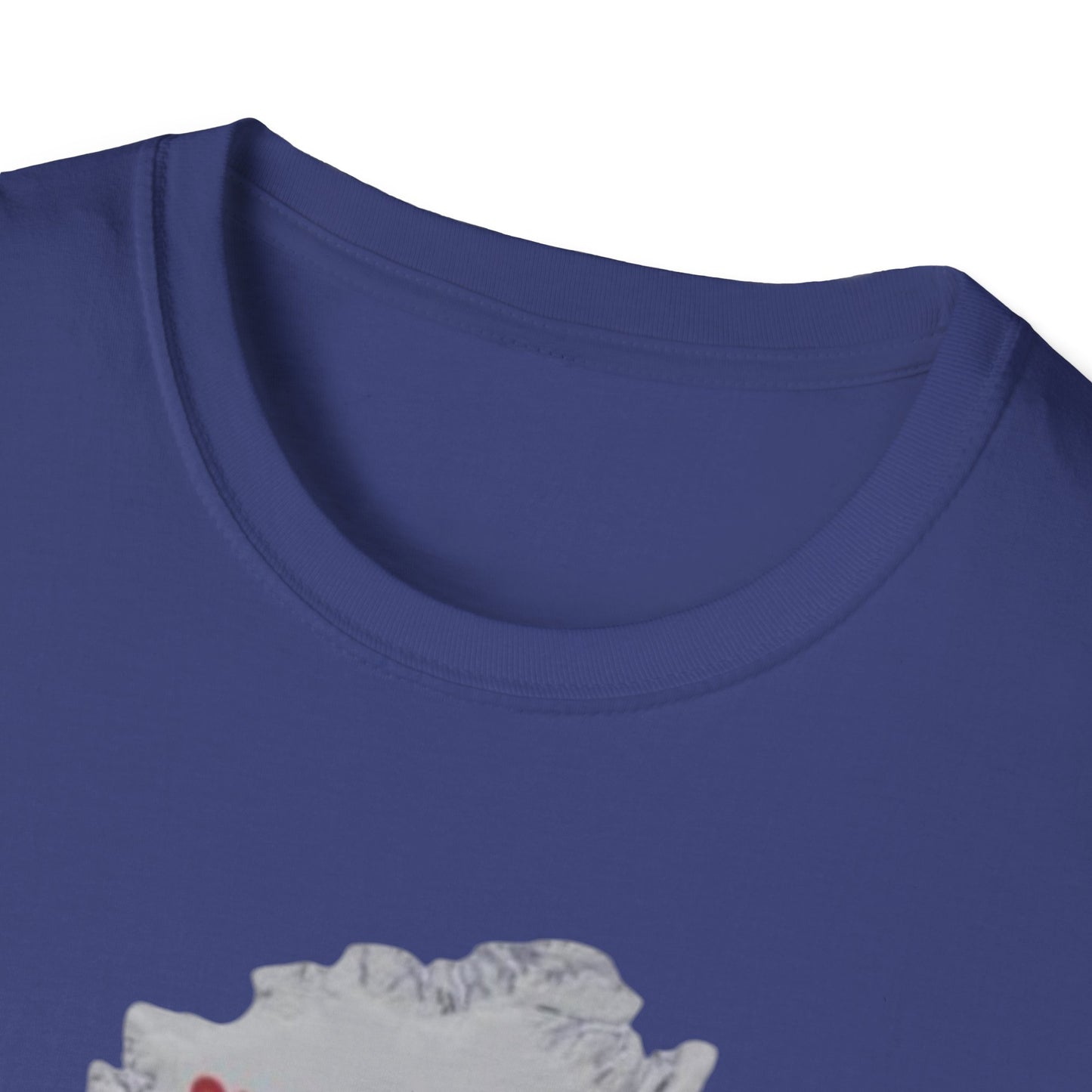 Trans-Greenland, Unisex Softstyle T-Shirt - Psychonaut Swag
