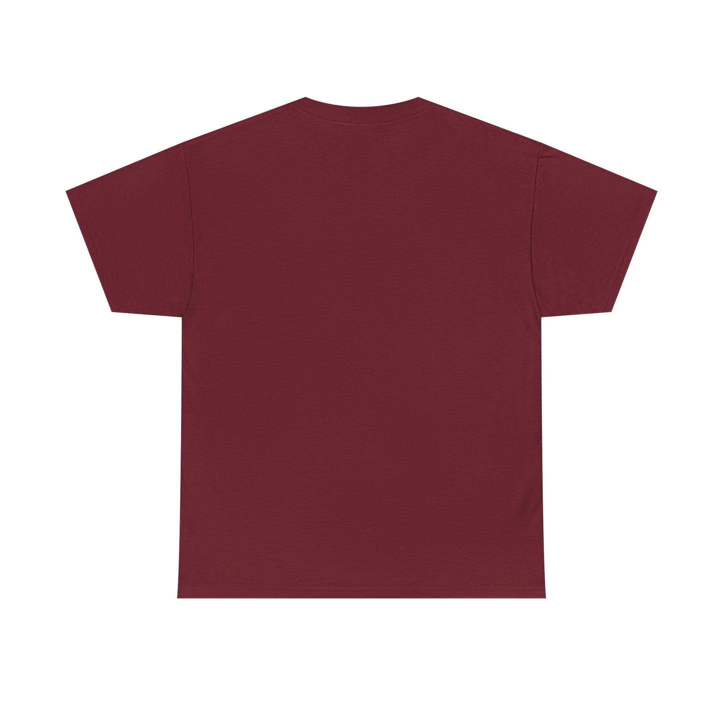 T.D.S, Unisex Heavy Cotton Tee - Psychonaut Swag
