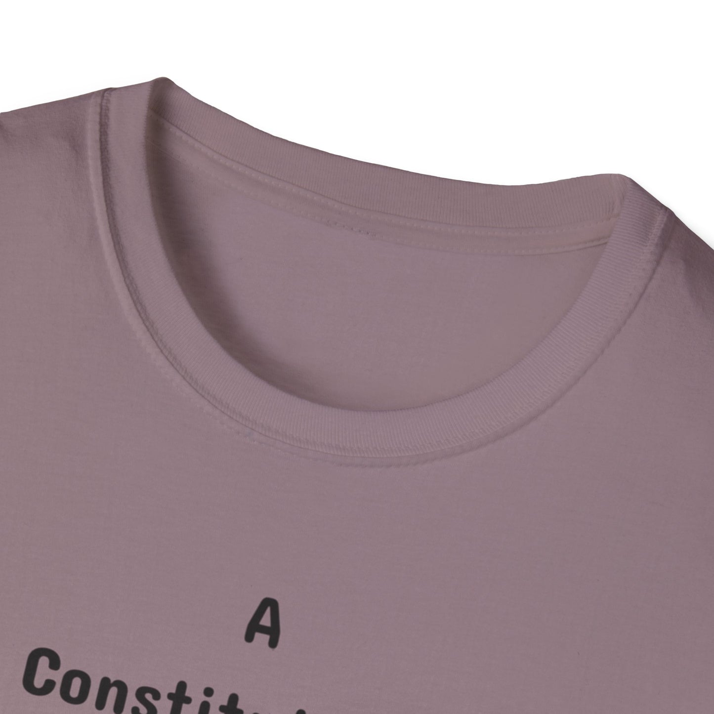 Constitutional Crisis of Fraud, Unisex Softstyle T-Shirt - Psychonaut Swag