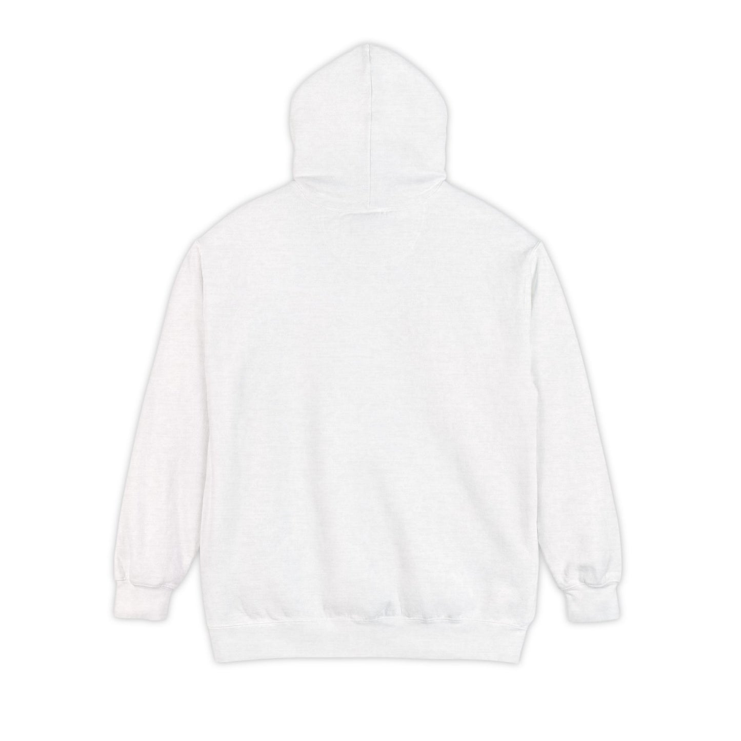 Unisex Garment-Dyed Hoodie - Psychonaut Swag