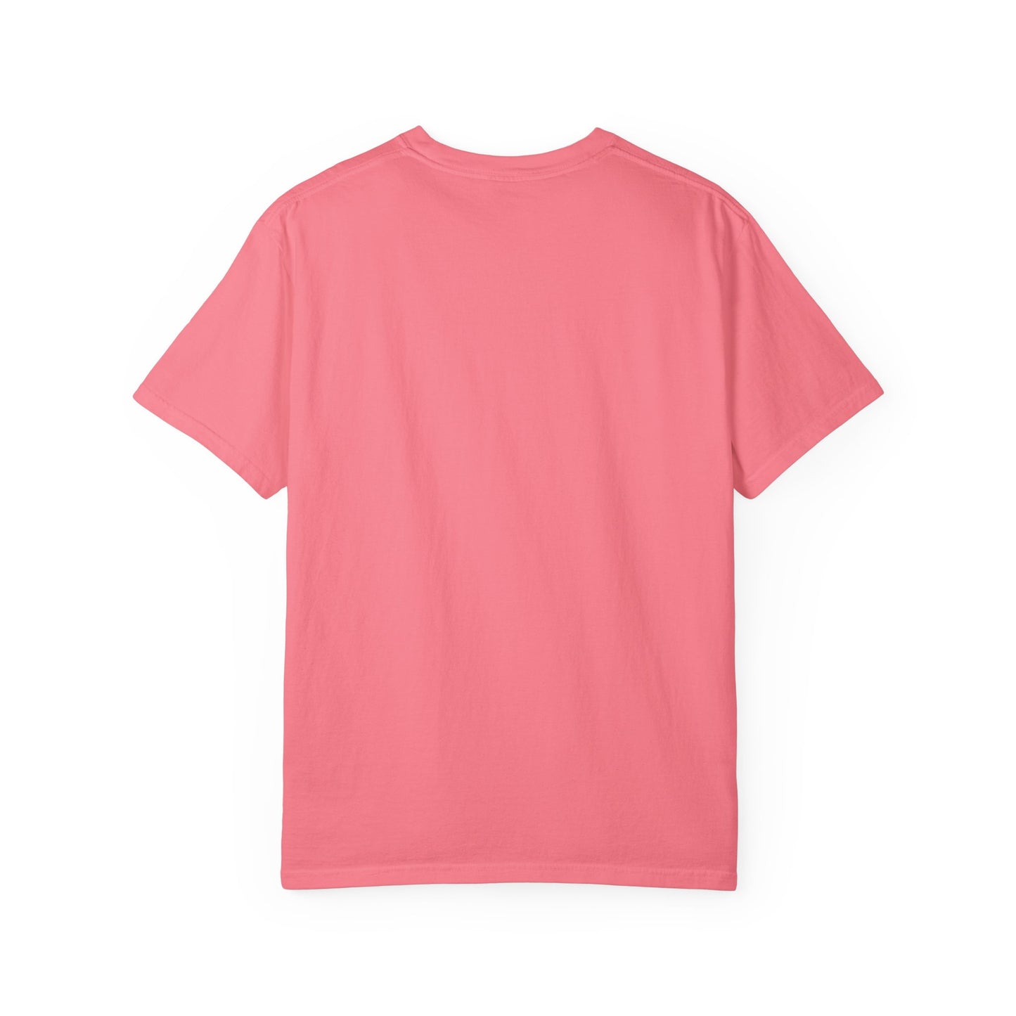 Mushroom Gift from Visitors, Unisex Garment-Dyed T-shirt - Psychonaut Swag