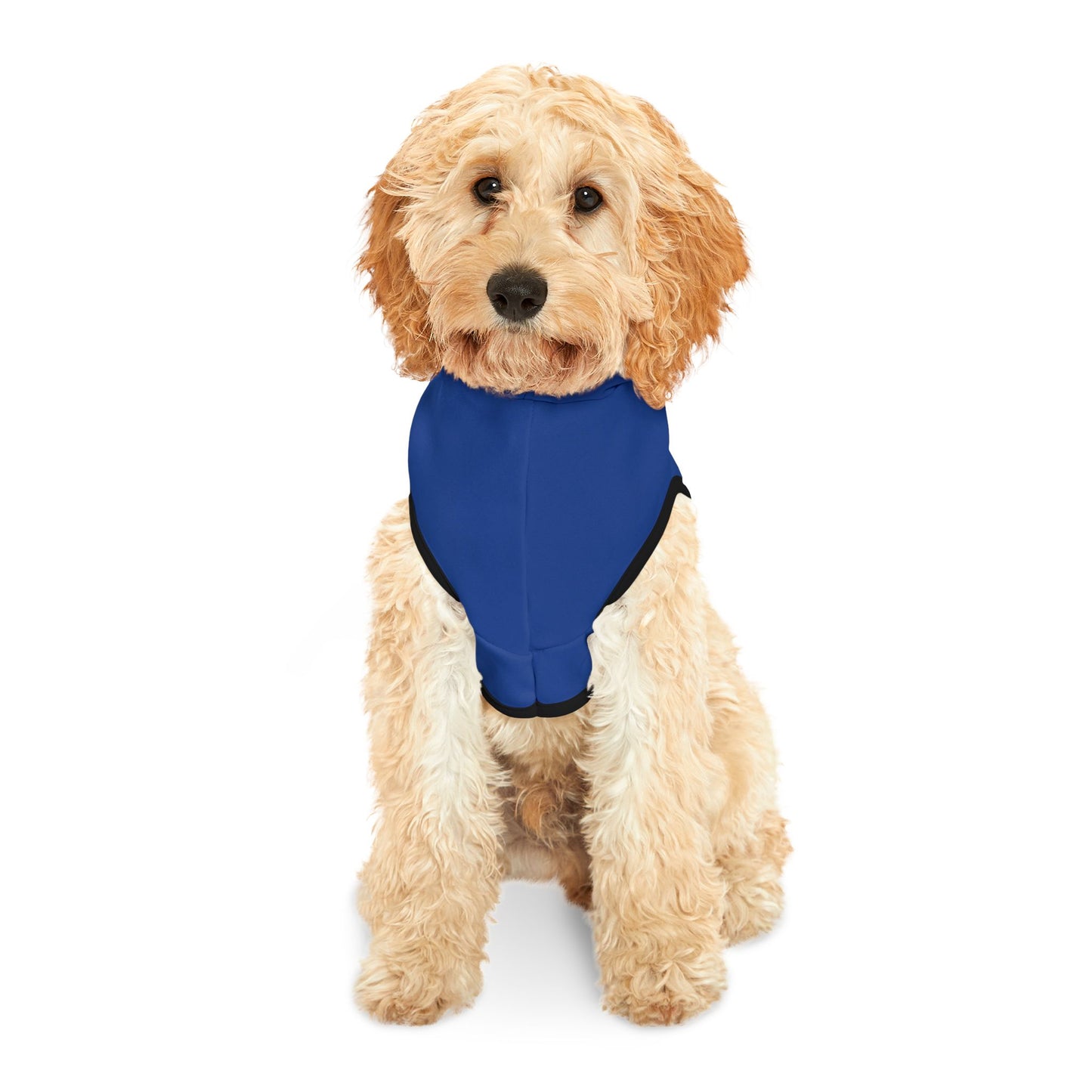 Blue Pet Hoodie, Hoodies for Hounds - Psychonaut Swag