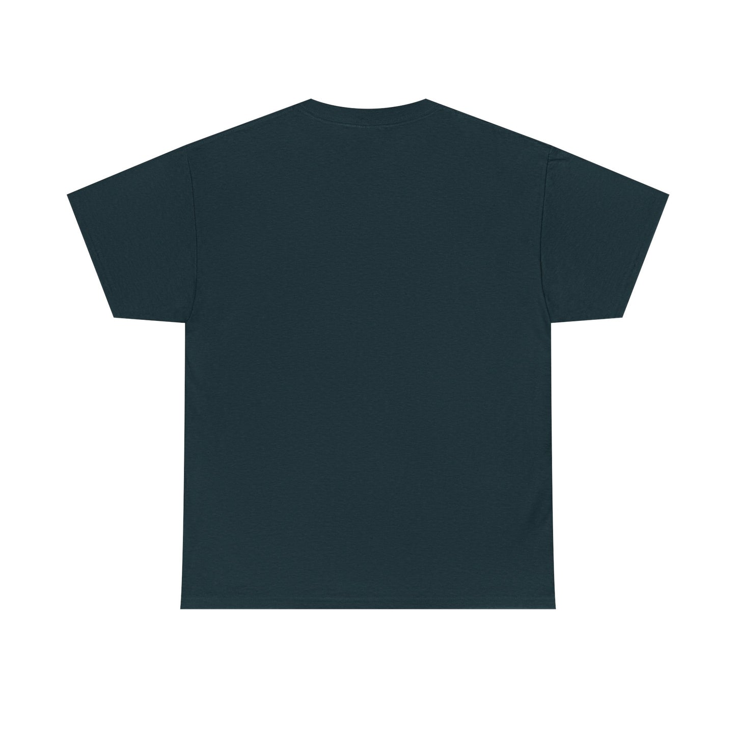 T.D.S, Unisex Heavy Cotton Tee - Psychonaut Swag