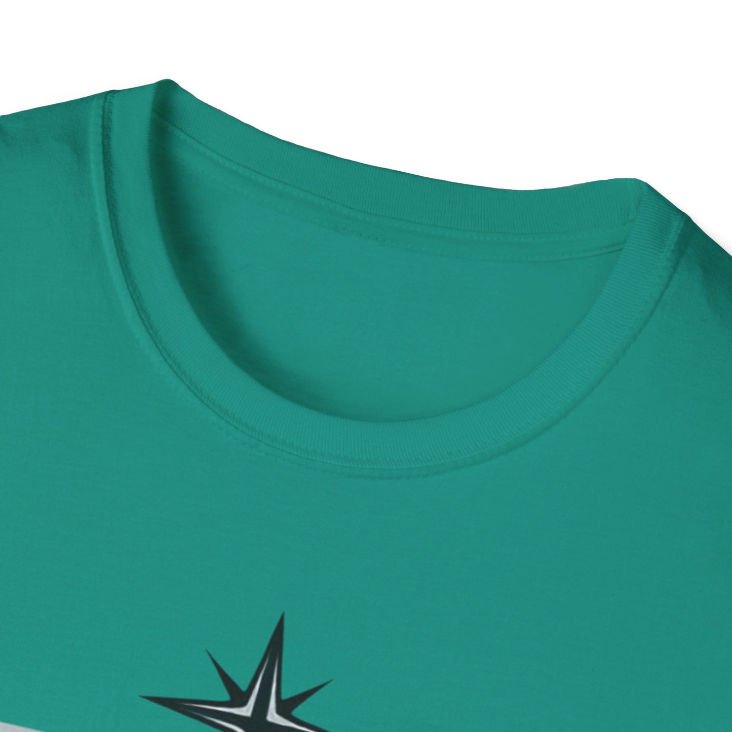 Truth sets Free, Unisex Softstyle T-Shirt - Psychonaut Swag