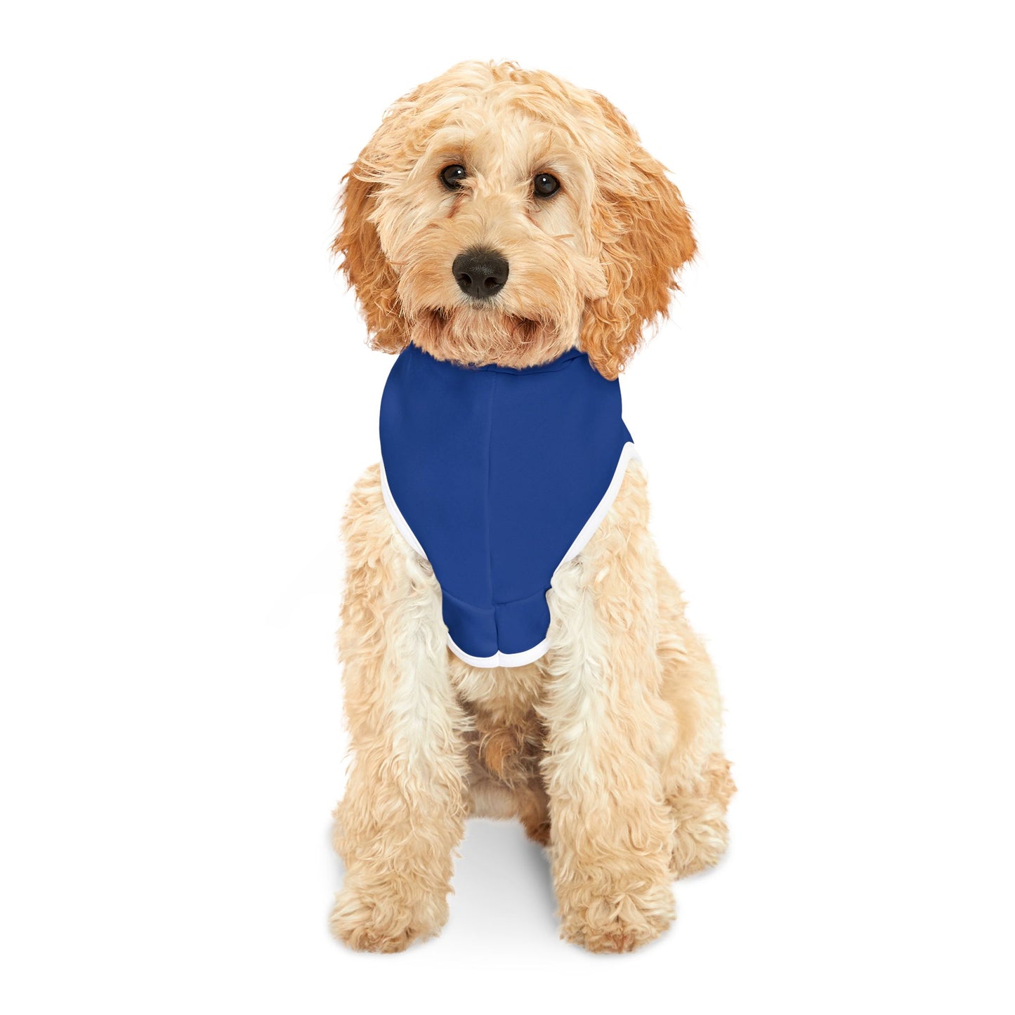 Blue Pet Hoodie, Hoodies for Hounds - Psychonaut Swag