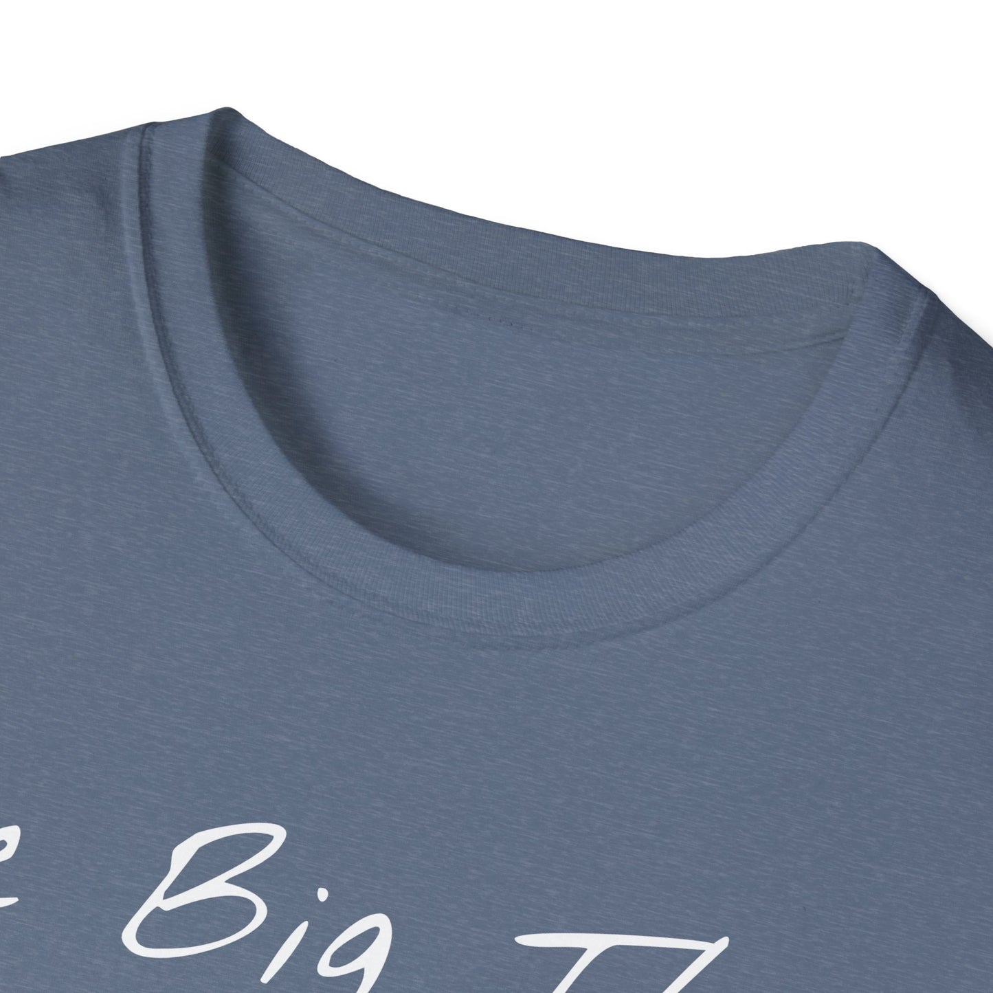 Big Thaw, Unisex Softstyle T-Shirt - Psychonaut Swag