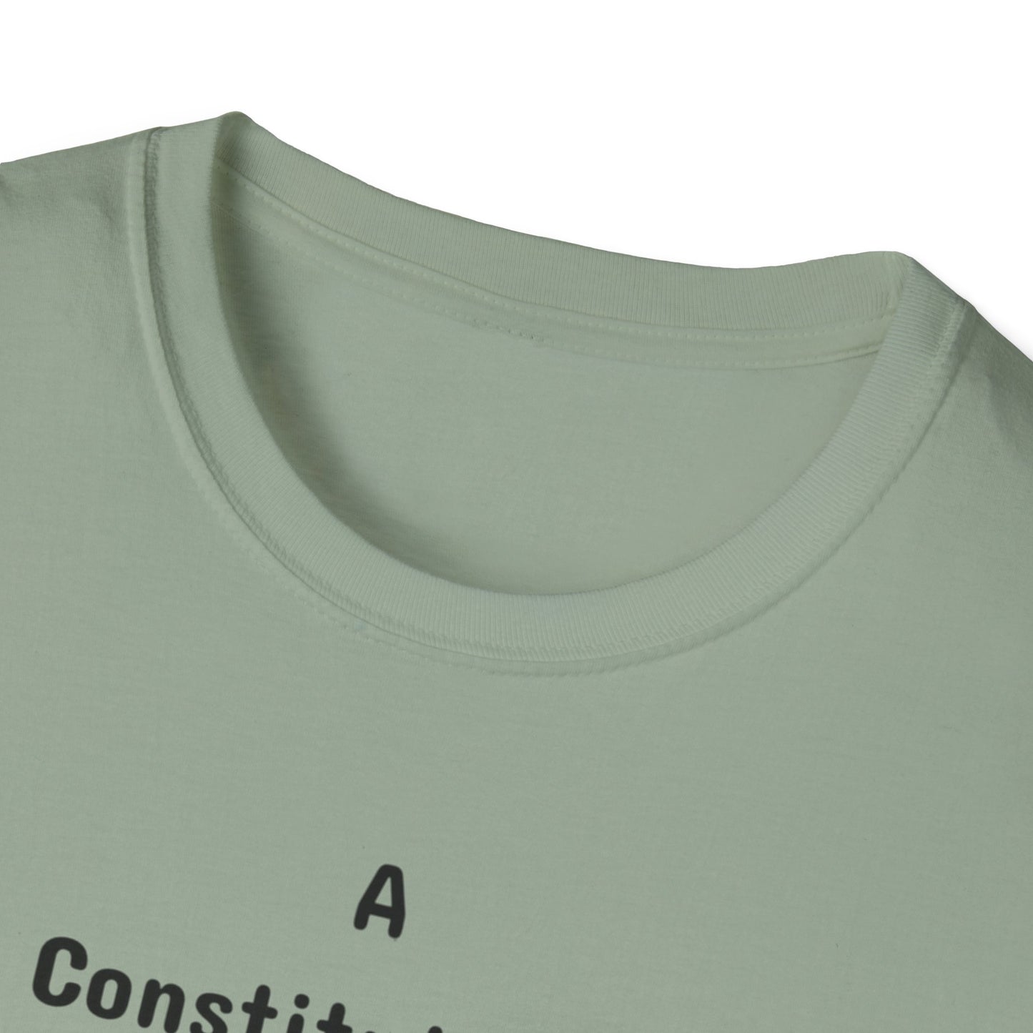 Constitutional Crisis of Fraud, Unisex Softstyle T-Shirt - Psychonaut Swag