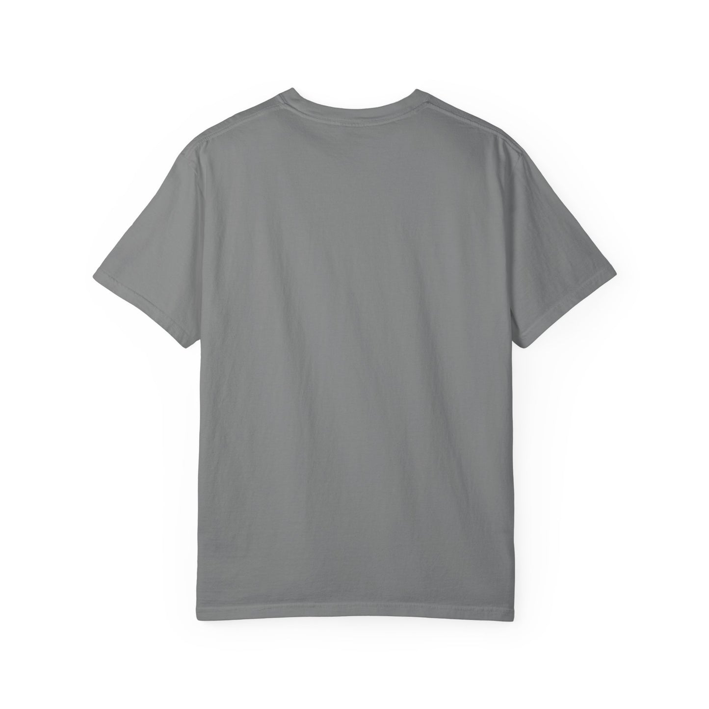 Evolving Man Unisex Garment-Dyed T-shirt - Psychonaut Swag