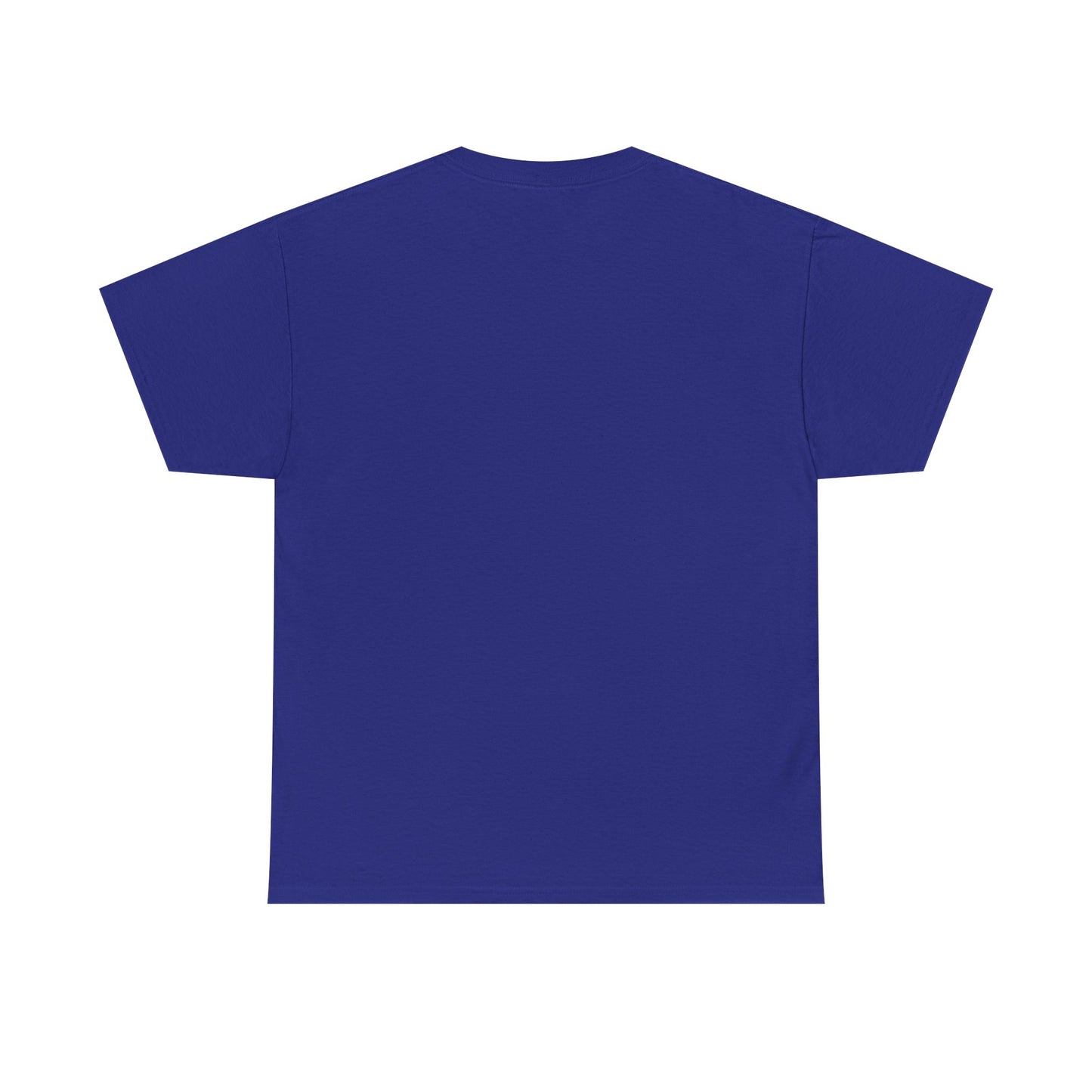 T.D.S, Unisex Heavy Cotton Tee - Psychonaut Swag