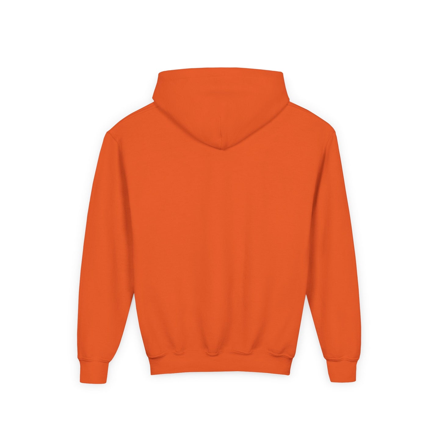 Crazy Cat Youth Heavy Blend Hooded Sweatshirt - Psychonaut Swag