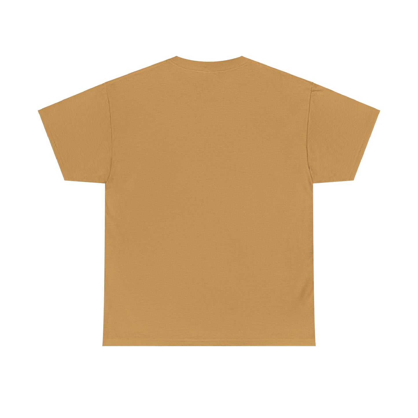 Gladiator, fight Unisex Heavy Cotton Tee - Psychonaut Swag