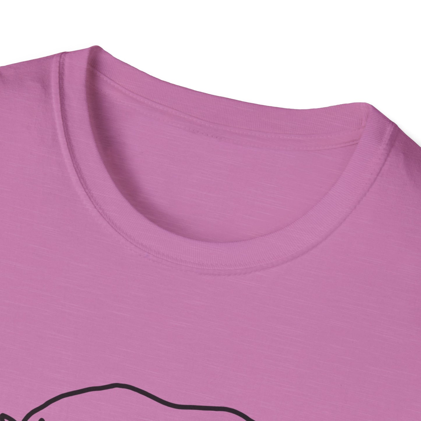 Chunky Unicorn, Rhino, Unisex Softstyle T-Shirt, Funny Tee, Gift for Animal Lovers, Casual Wear, Birthday Present, Unique Graphic Shirt