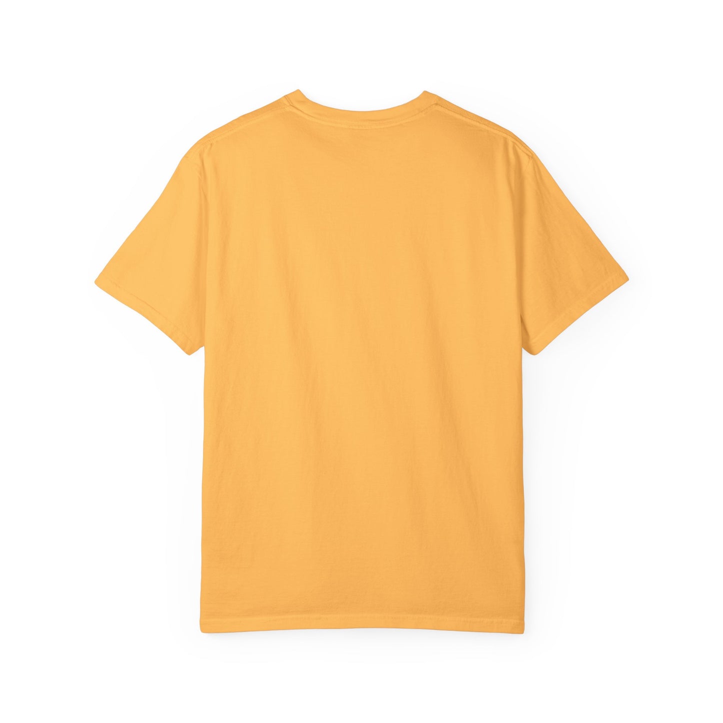 Holding, Unisex Garment-Dyed T-shirt - Psychonaut Swag
