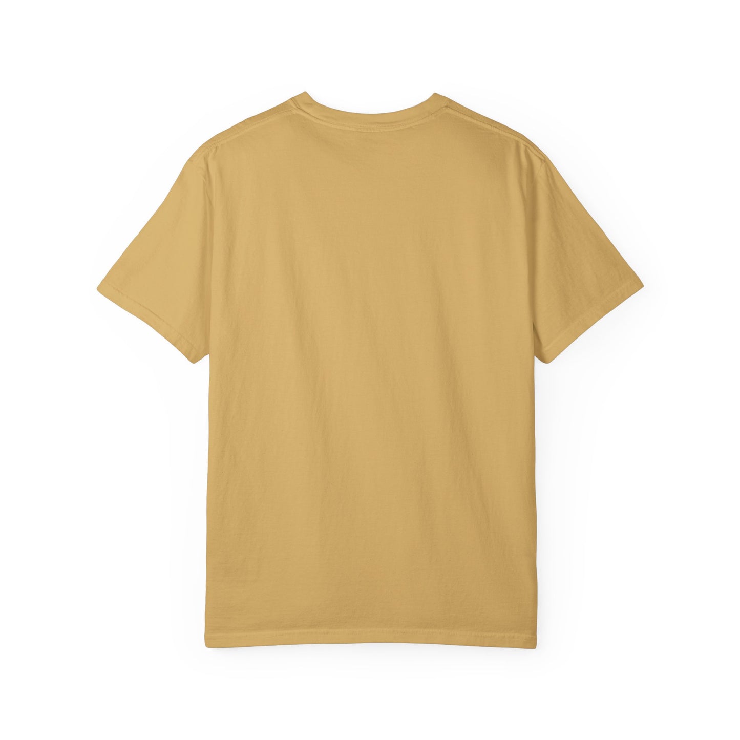 Mushroom Gift from Visitors, Unisex Garment-Dyed T-shirt - Psychonaut Swag
