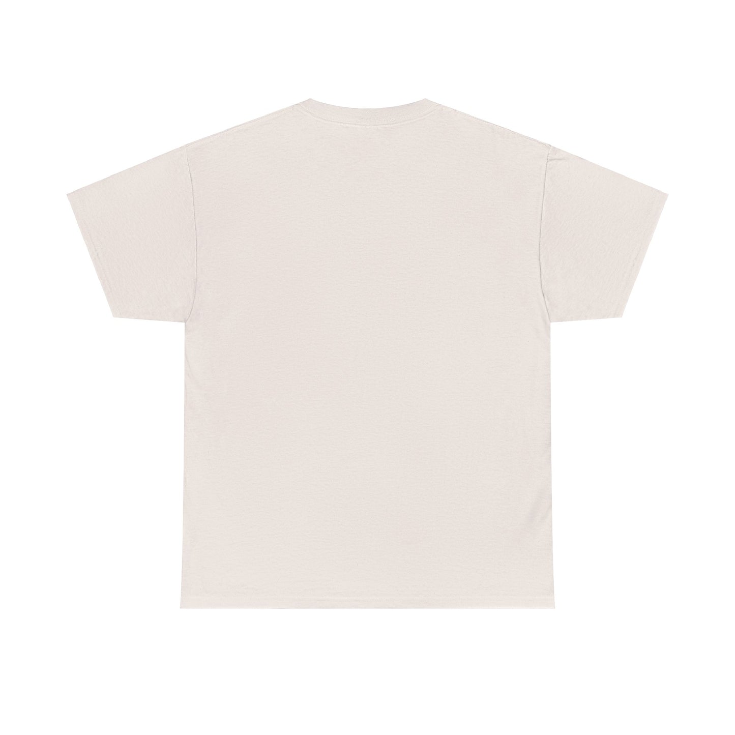 Gladiator, fight Unisex Heavy Cotton Tee - Psychonaut Swag