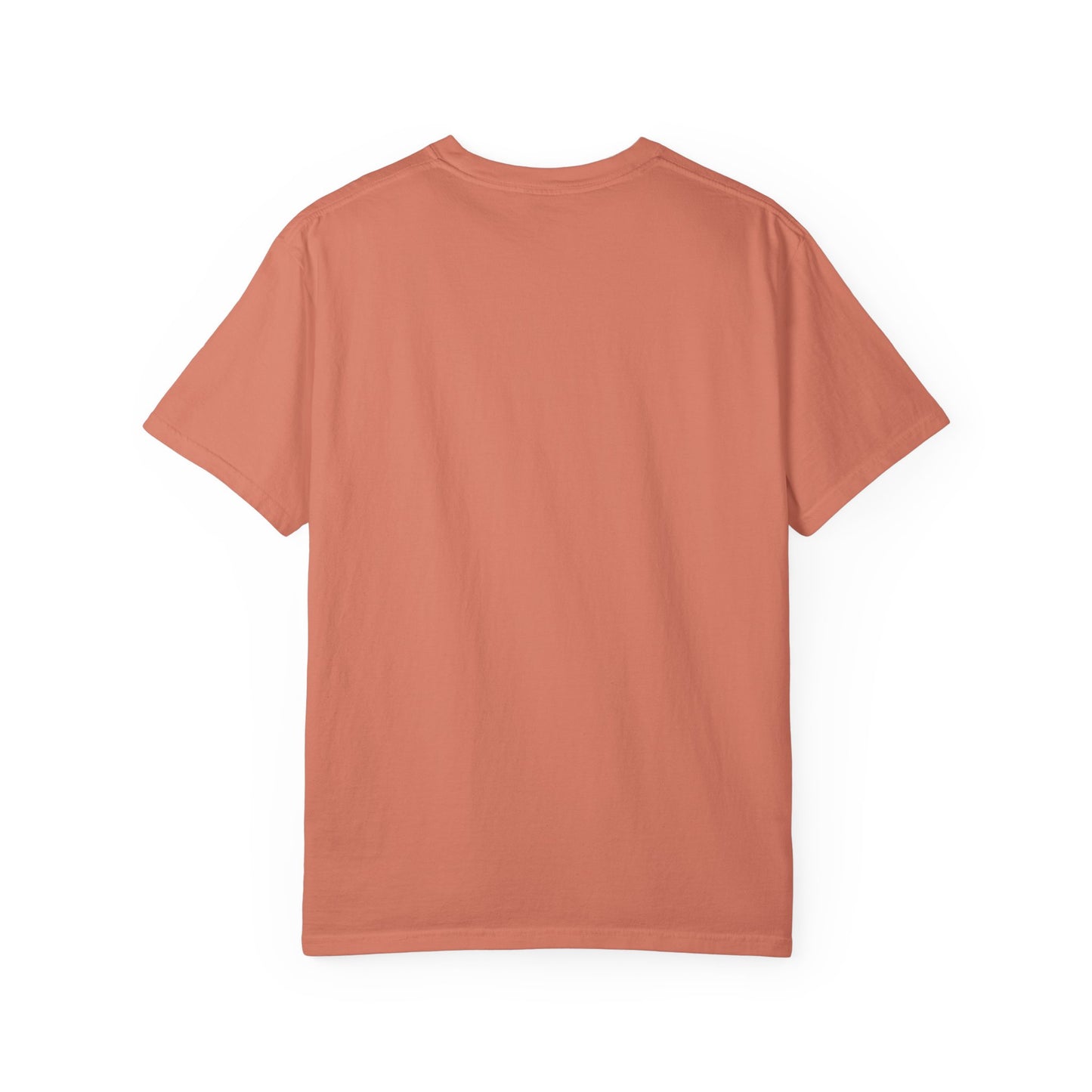 Mushroom Gift from Visitors, Unisex Garment-Dyed T-shirt - Psychonaut Swag