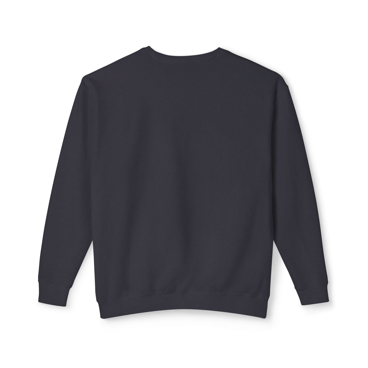 Observer Occupy Lightweight Sweatshirt - Psychonaut Swag