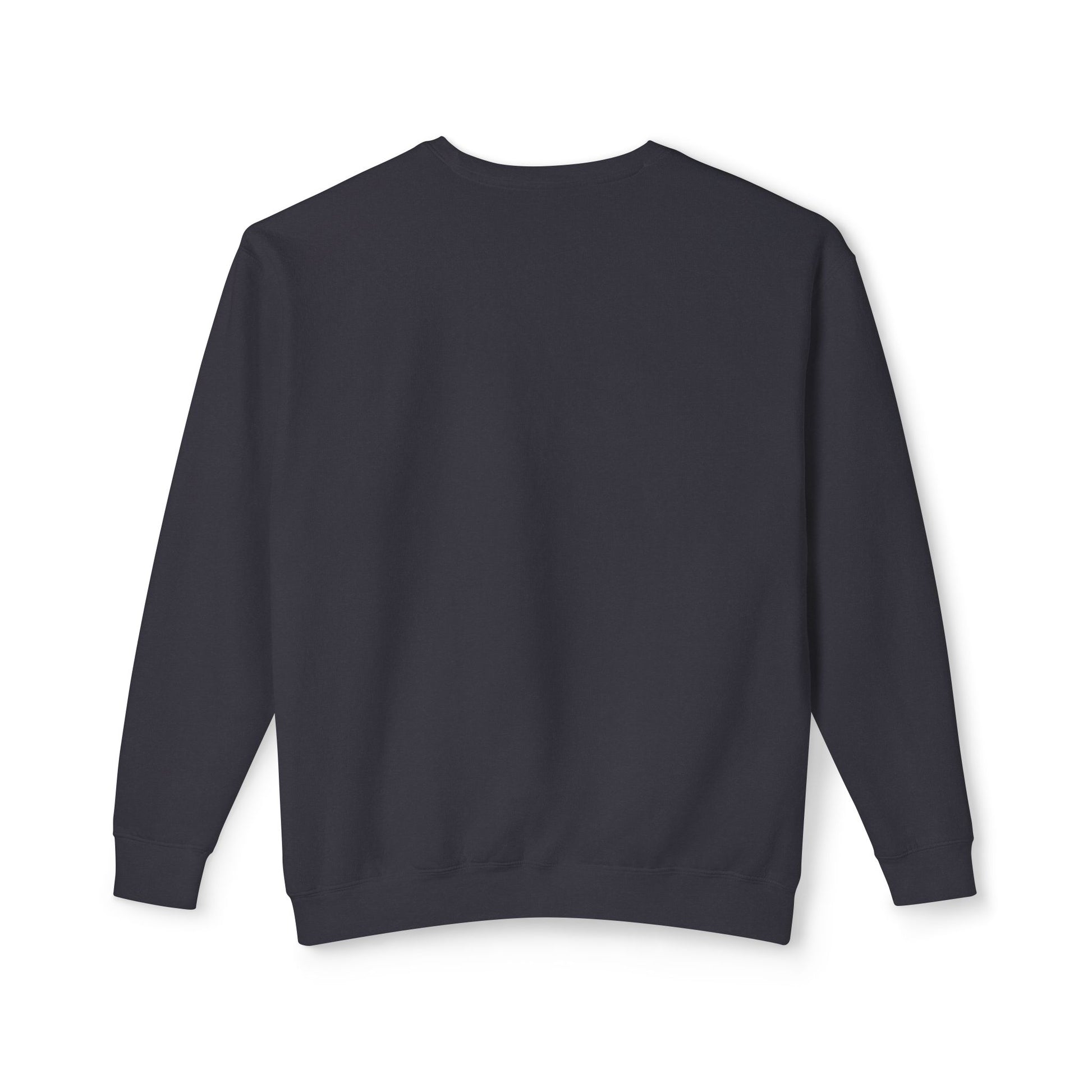 Observer Occupy Lightweight Sweatshirt - Psychonaut Swag