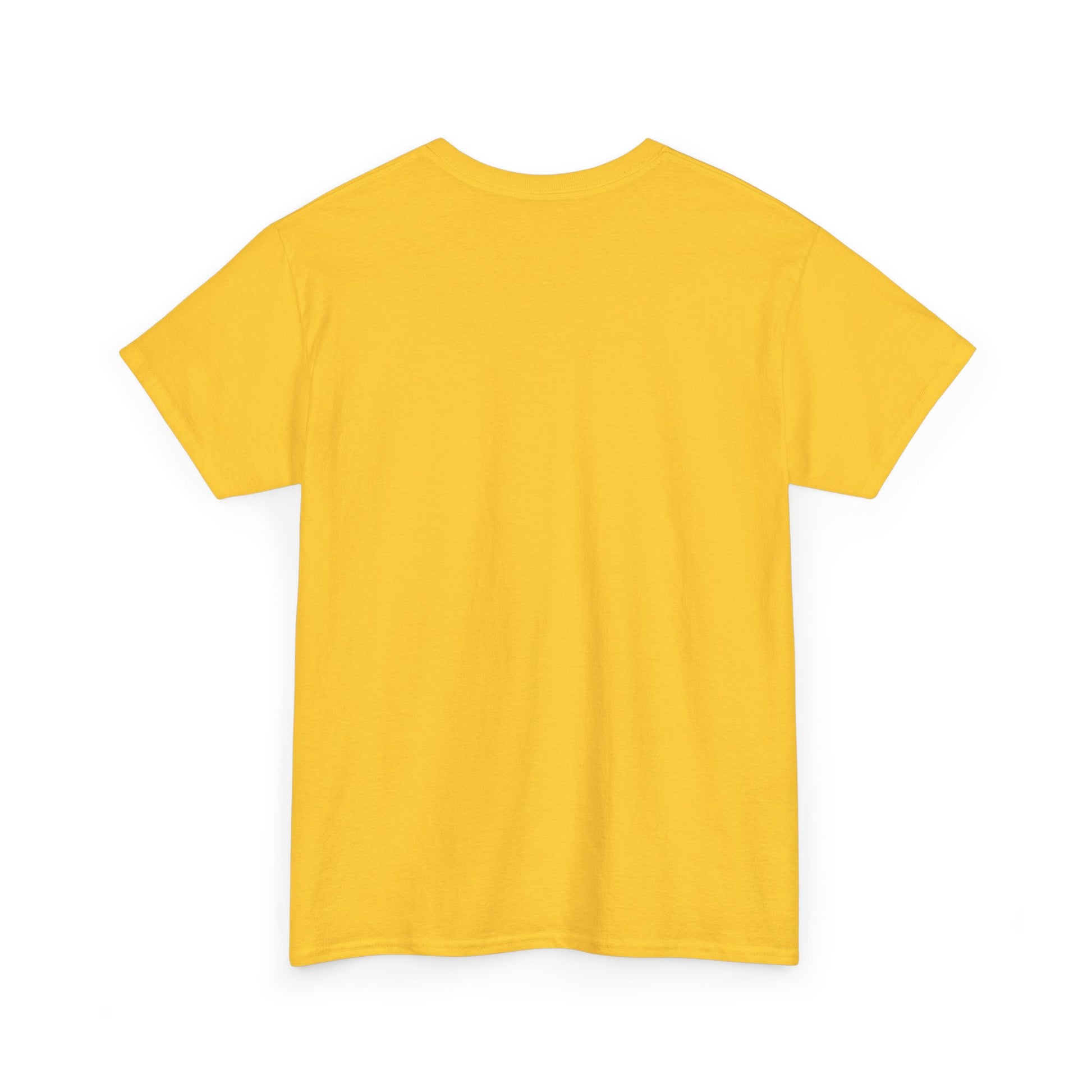 Three Pyramids, Unisex Heavy Cotton Tee - Psychonaut Swag