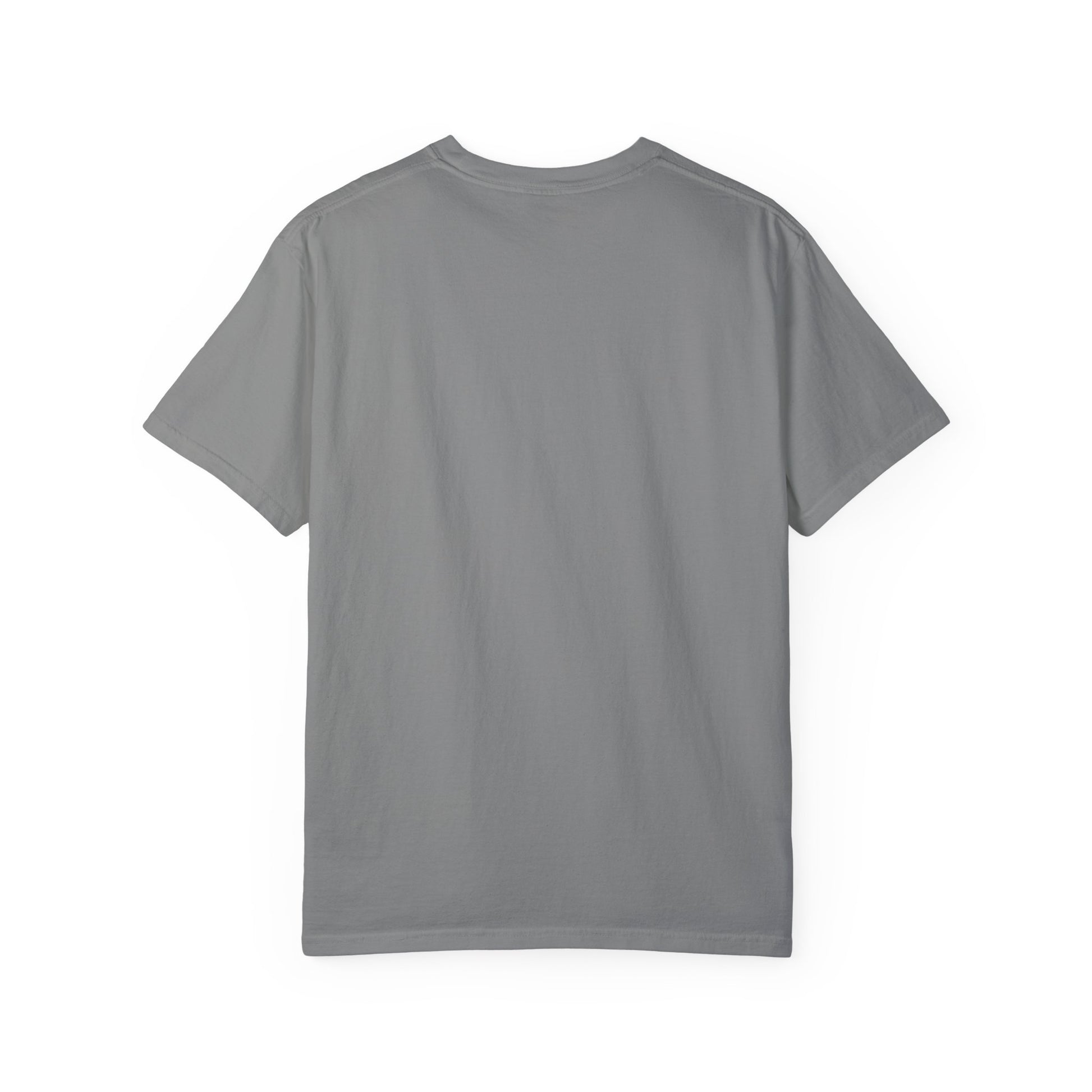 Highly Sus Unisex Garment-Dyed T-shirt - Trendy Casual Wear - Psychonaut Swag