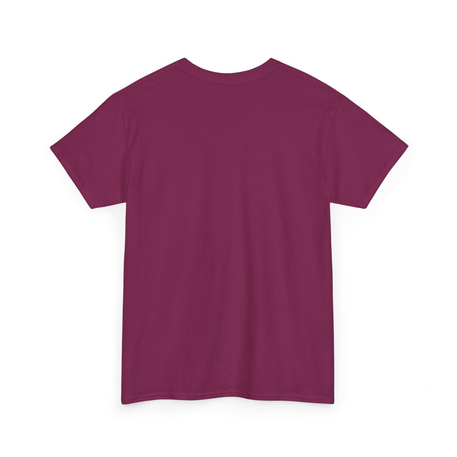 Colorful Retro Style Unisex Heavy Cotton Tee, Graphic Tee, Casual Wear, Gift Idea, Summer Fashion, Festival Outfit - Psychonaut Swag