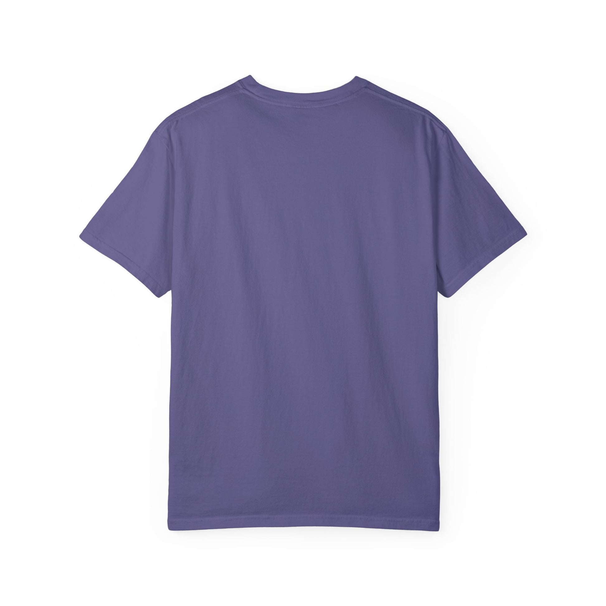 Unisex Garment-Dyed T-shirt - Psychonaut Swag