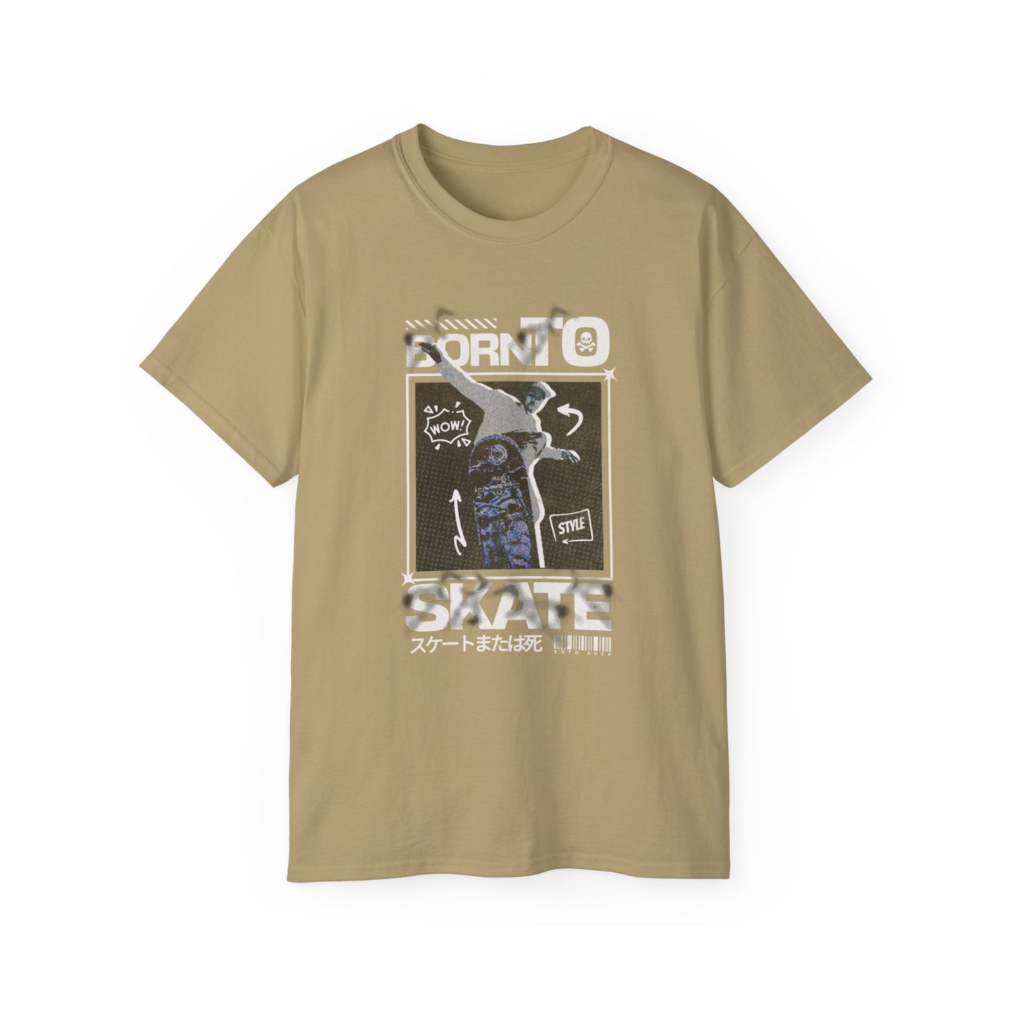 Born to Skate, ' Street Art Vintage Panel Design