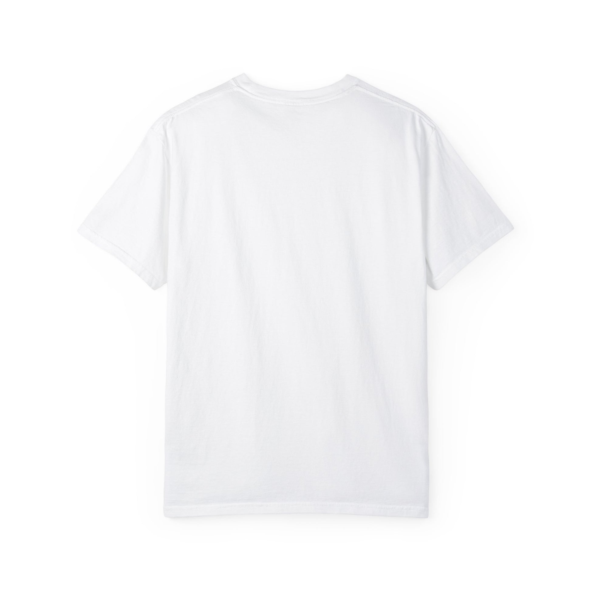Highly Sus Unisex Garment-Dyed T-shirt - Trendy Casual Wear - Psychonaut Swag