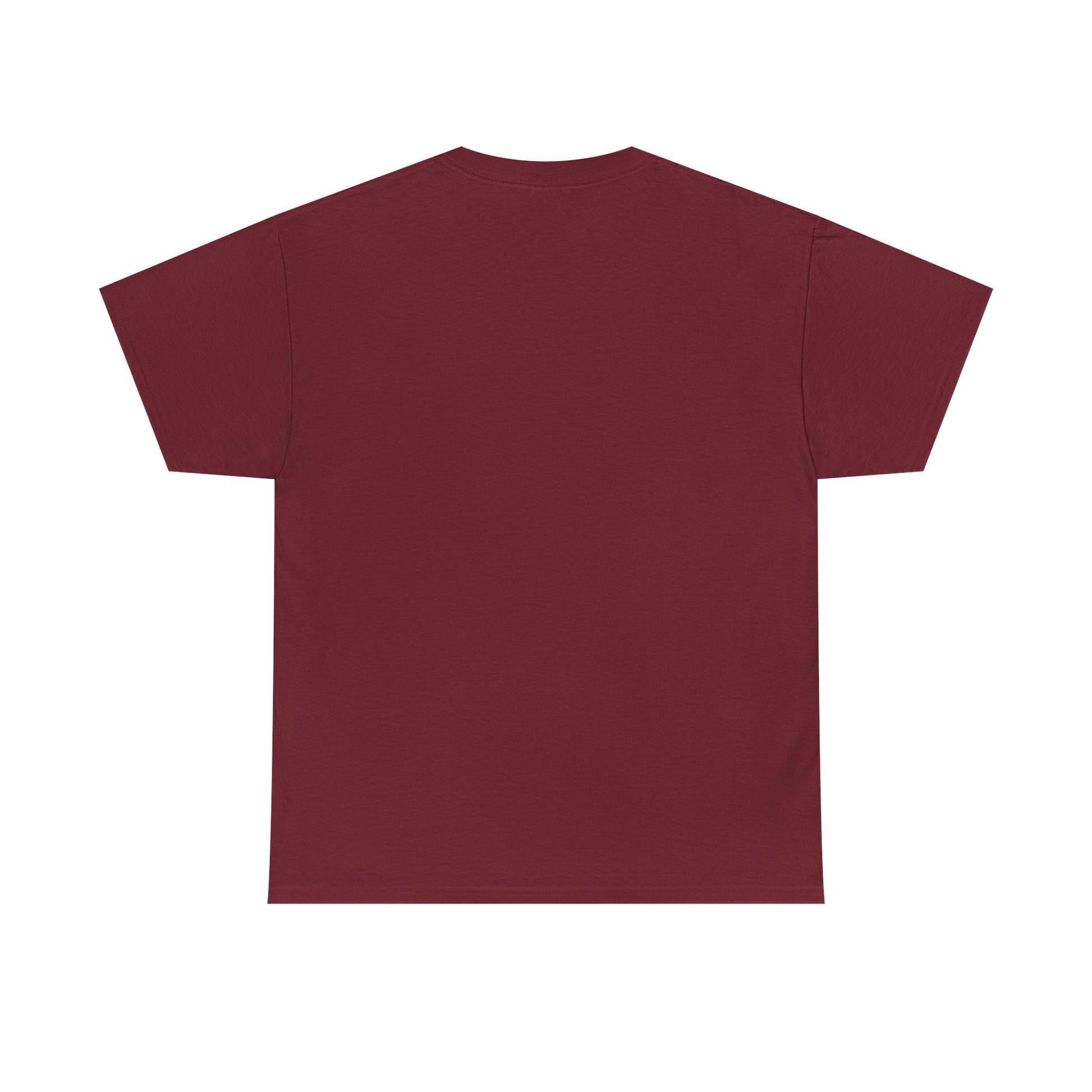 T.D.S, Unisex Heavy Cotton Tee - Psychonaut Swag