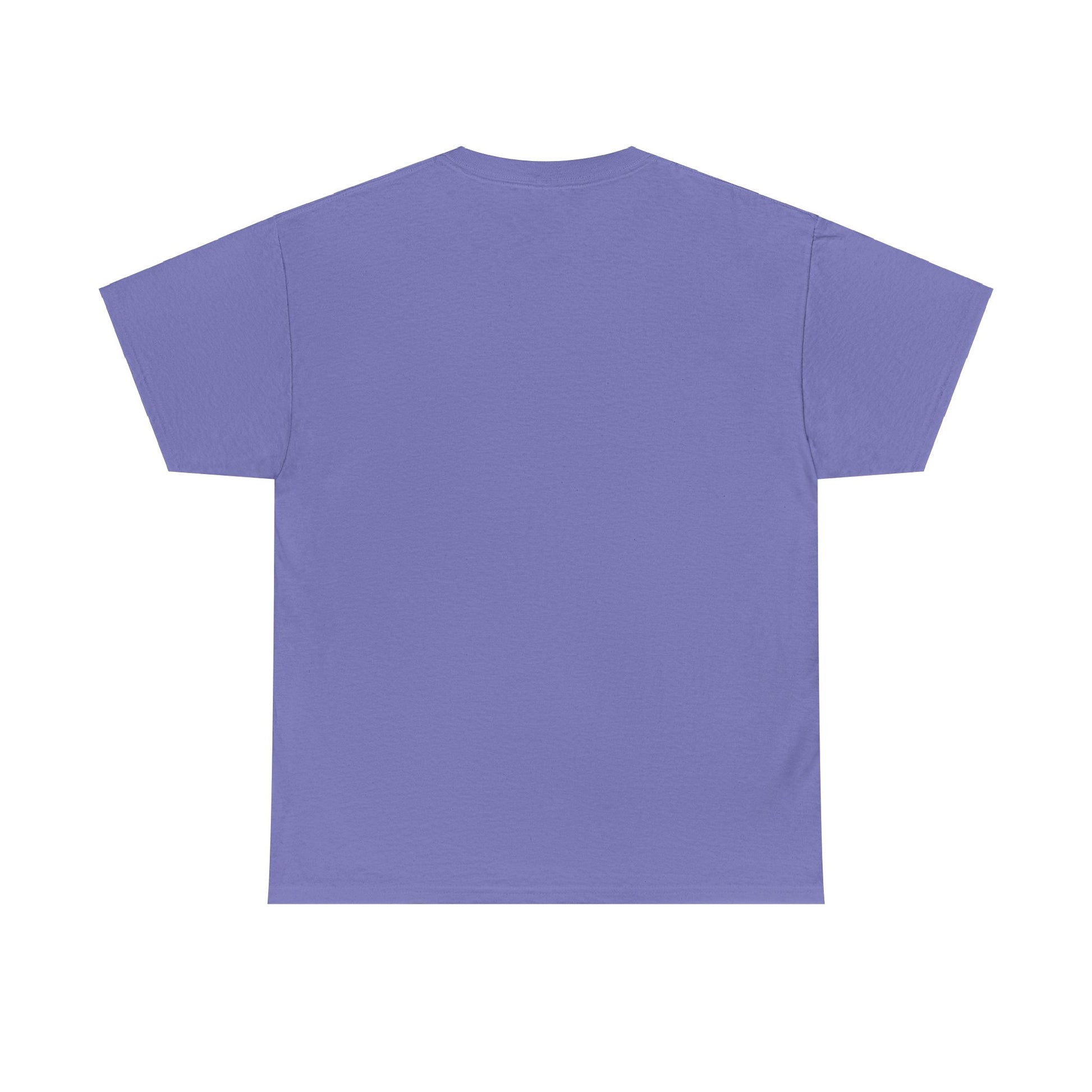 Graphic Tee - Fairy feeding a magical unicorn in the forest - Psychonaut Swag