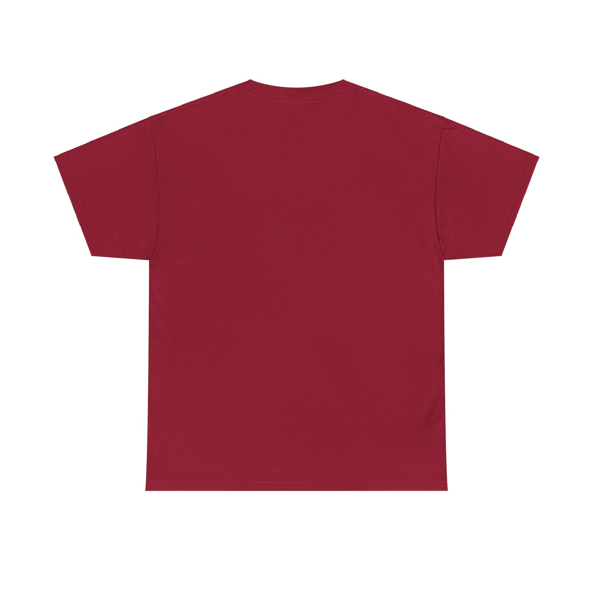 Gladiator, fight Unisex Heavy Cotton Tee - Psychonaut Swag