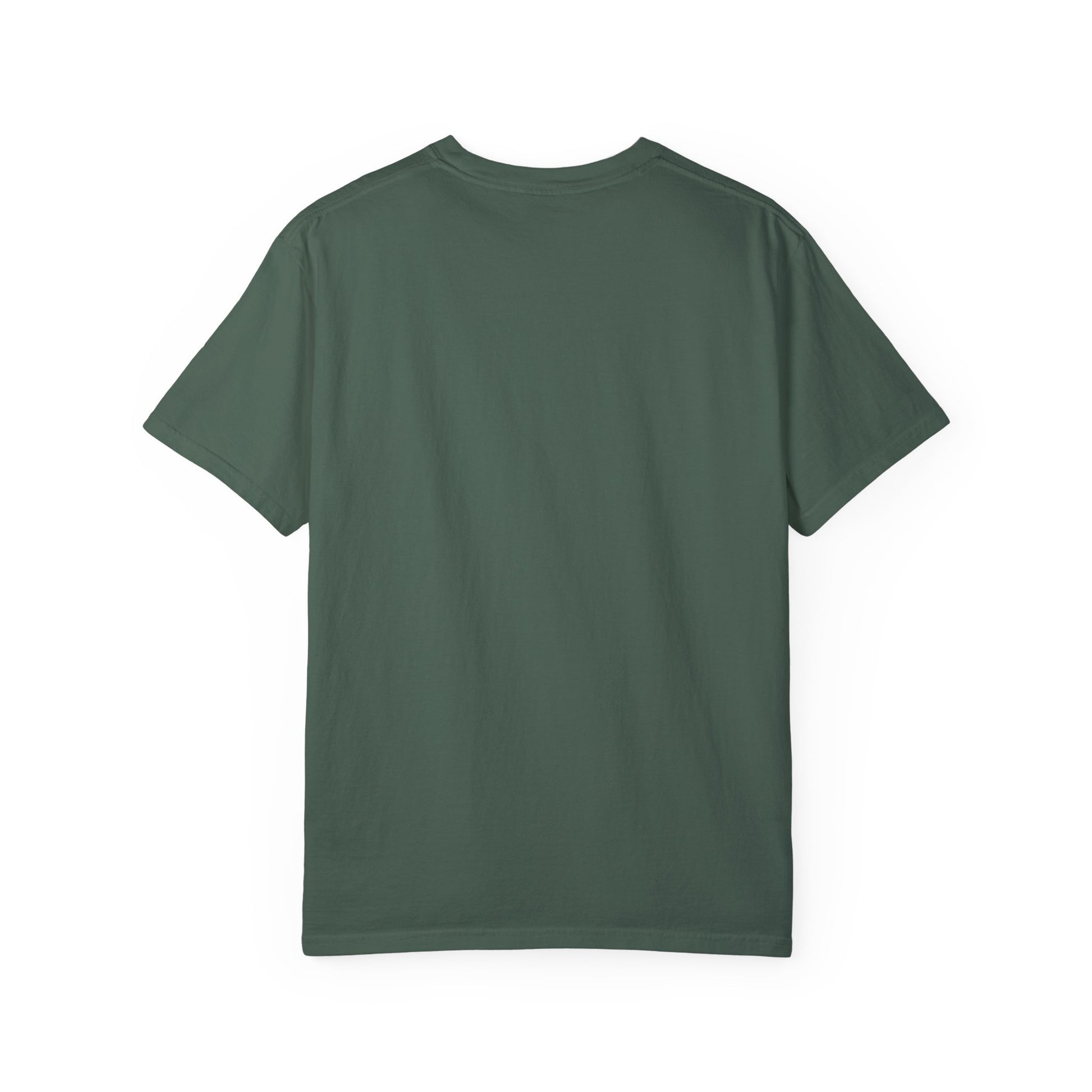 Highly Sus Unisex Garment-Dyed T-shirt - Trendy Casual Wear - Psychonaut Swag