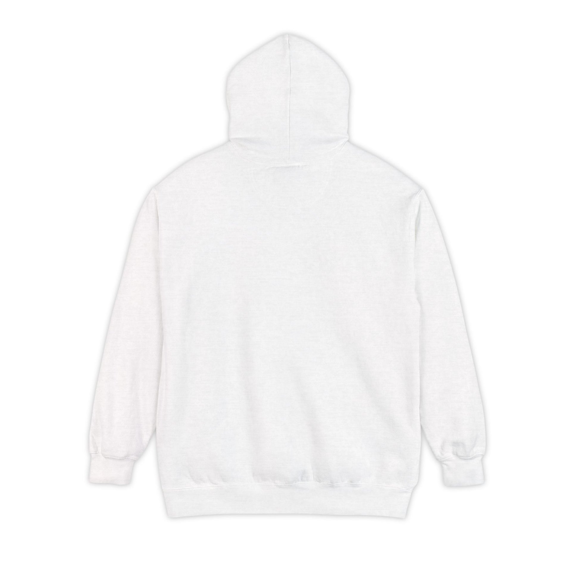 Unisex Garment-Dyed Hoodie - Psychonaut Swag
