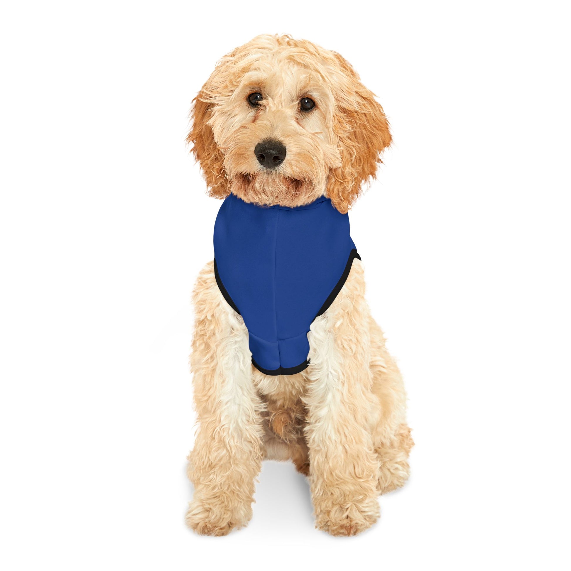 Blue Pet Hoodie, Hoodies for Hounds - Psychonaut Swag