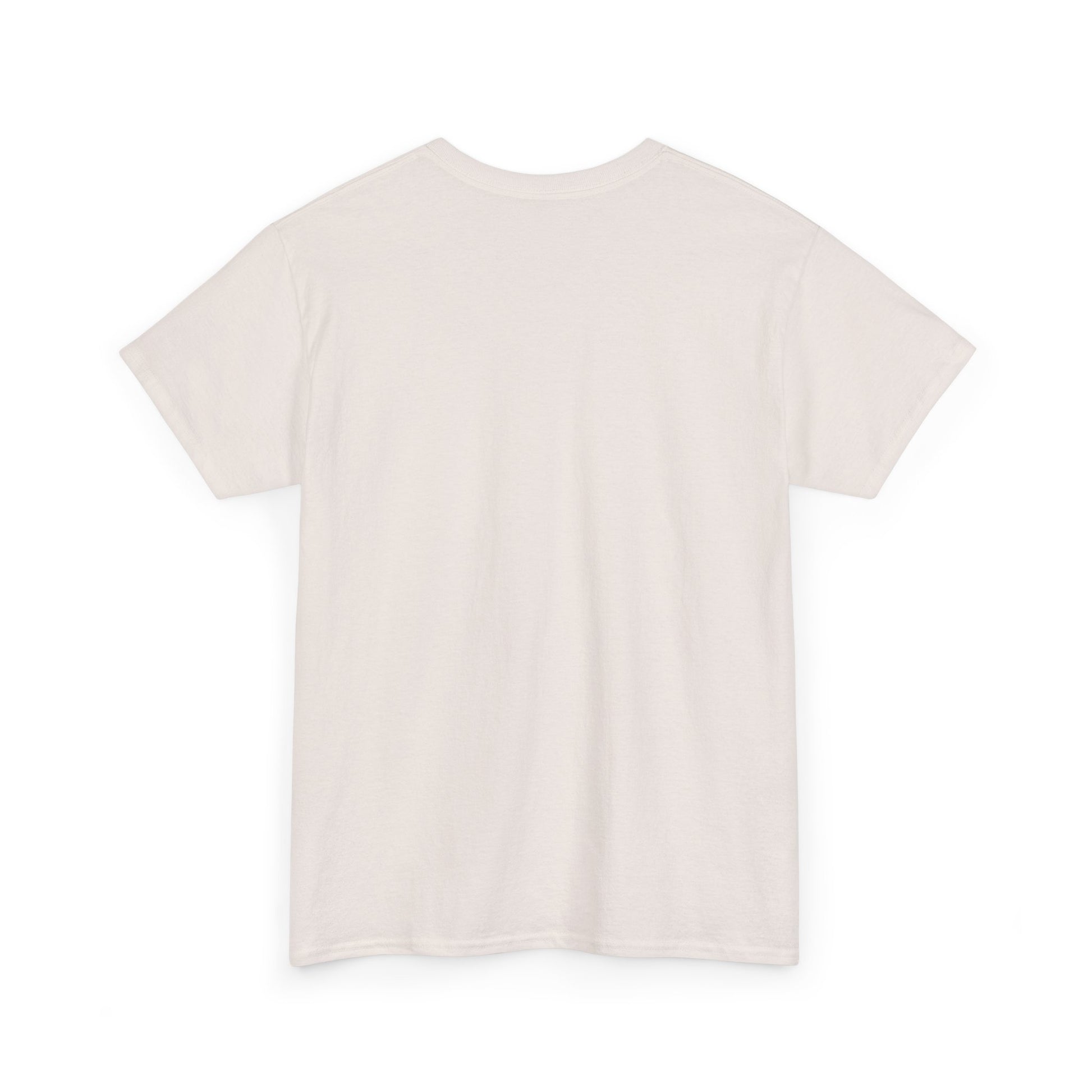 Gladiator, fight Unisex Heavy Cotton Tee - Psychonaut Swag