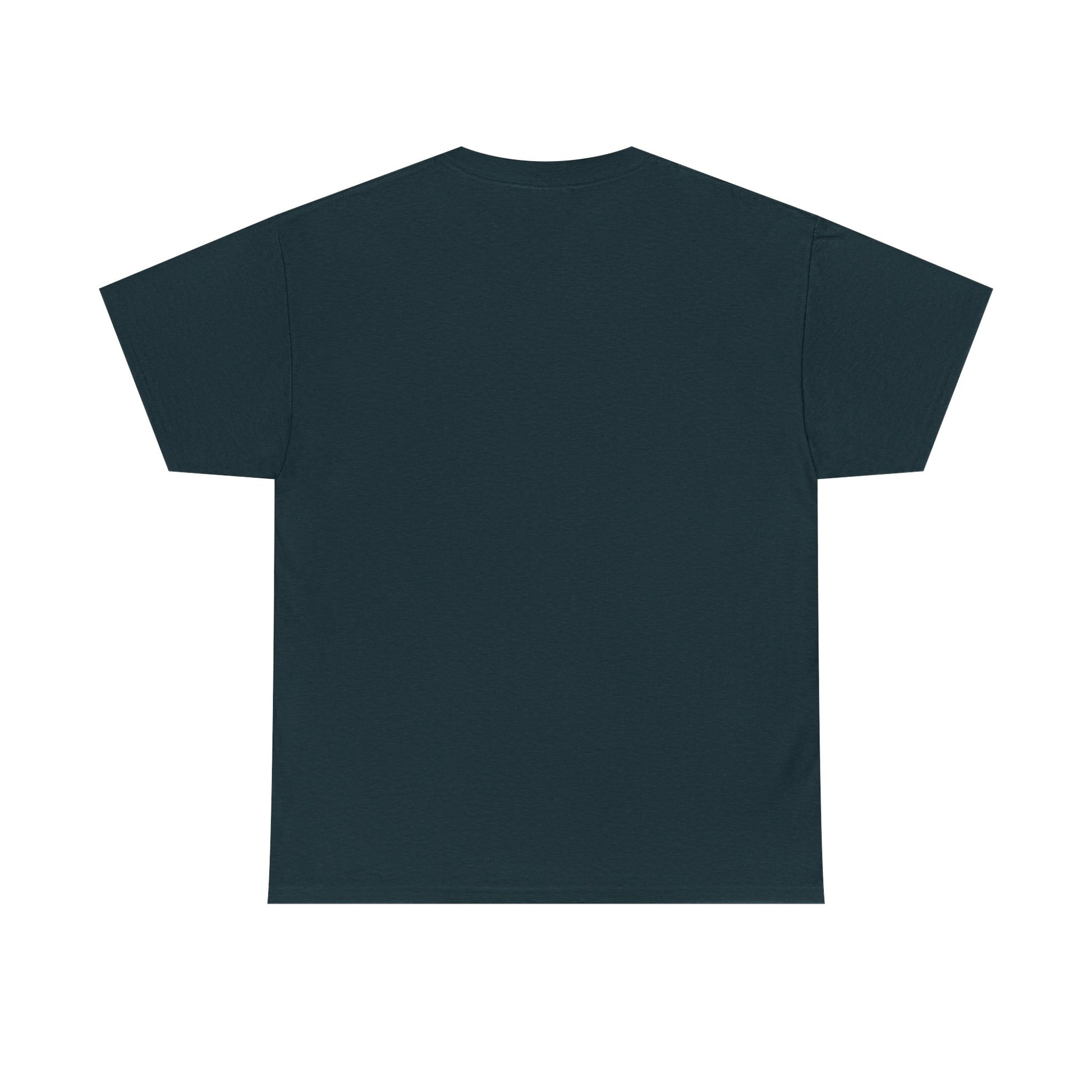 T.D.S, Unisex Heavy Cotton Tee - Psychonaut Swag