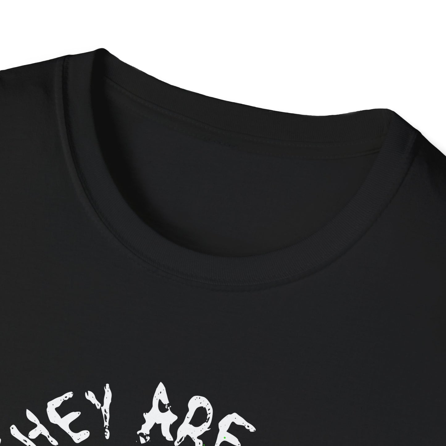 No Rules, Unisex Softstyle T-Shirt