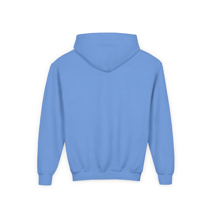 Crazy Cat Youth Heavy Blend Hooded Sweatshirt - Psychonaut Swag