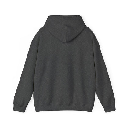 Advanced Mobile Detailing Hoodie | Unisex Sweatshirt, Car Enthusiast Gift, Comfortable Hoodie, Perfect for Fall & Winter, Automotive Apparel