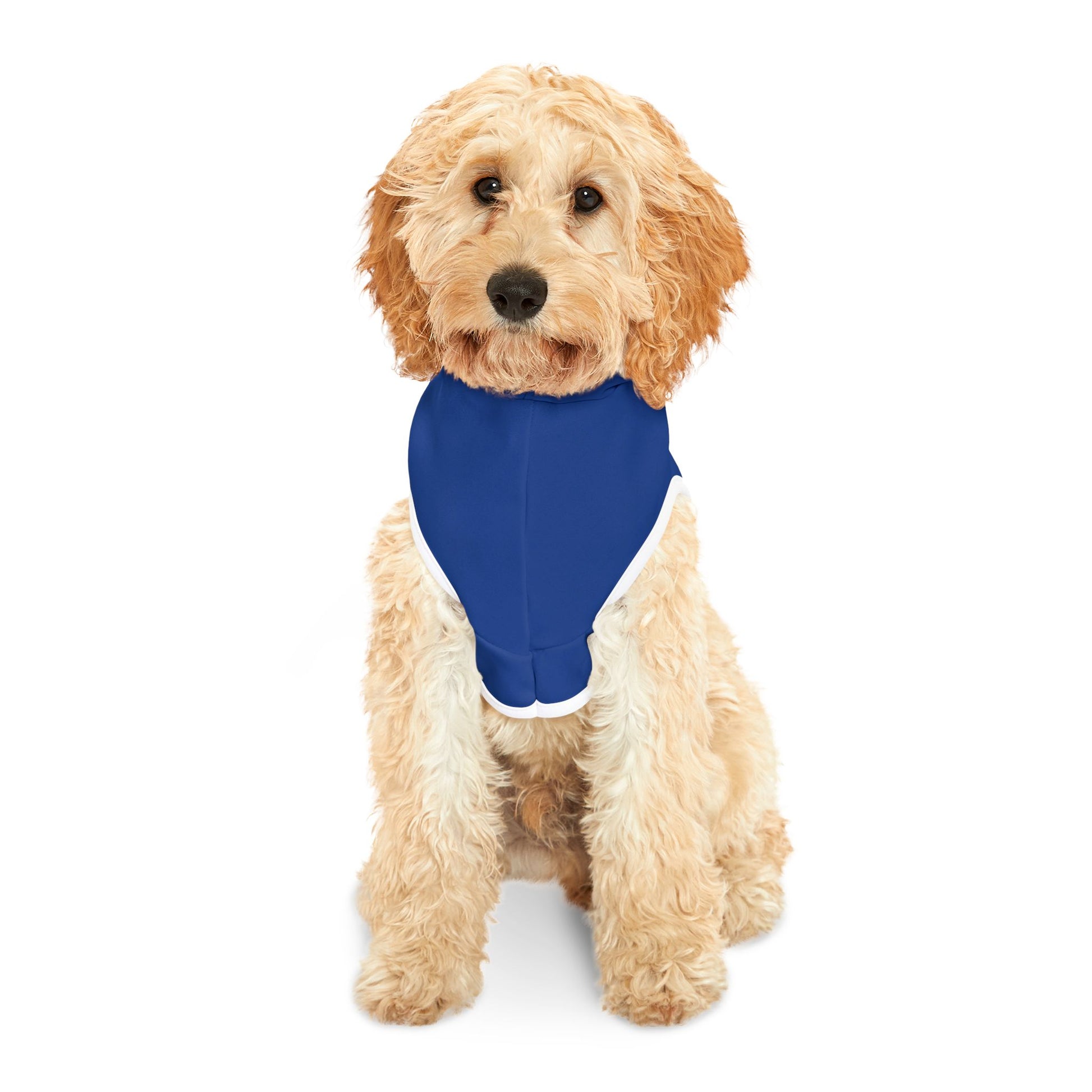 Blue Pet Hoodie, Hoodies for Hounds - Psychonaut Swag