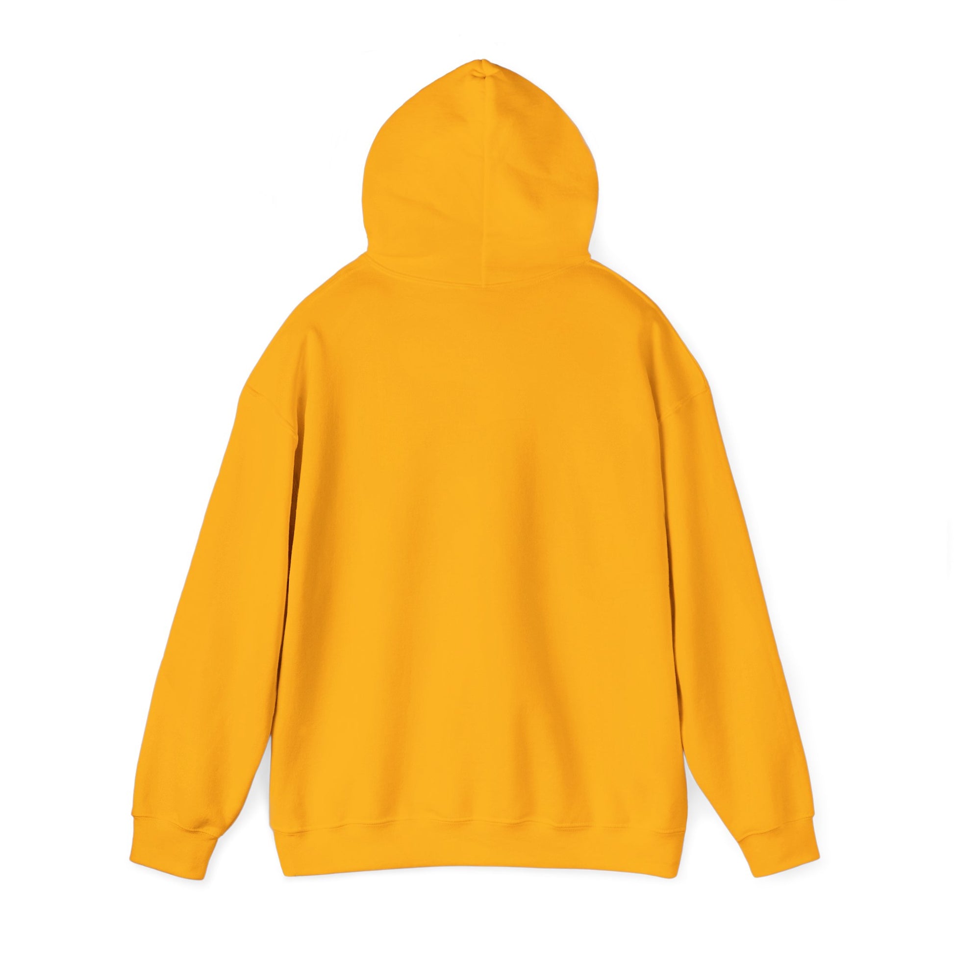 Sun-Locked Earth, High,Unisex Heavy Blend™ Hooded Sweatshirt - Psychonaut Swag