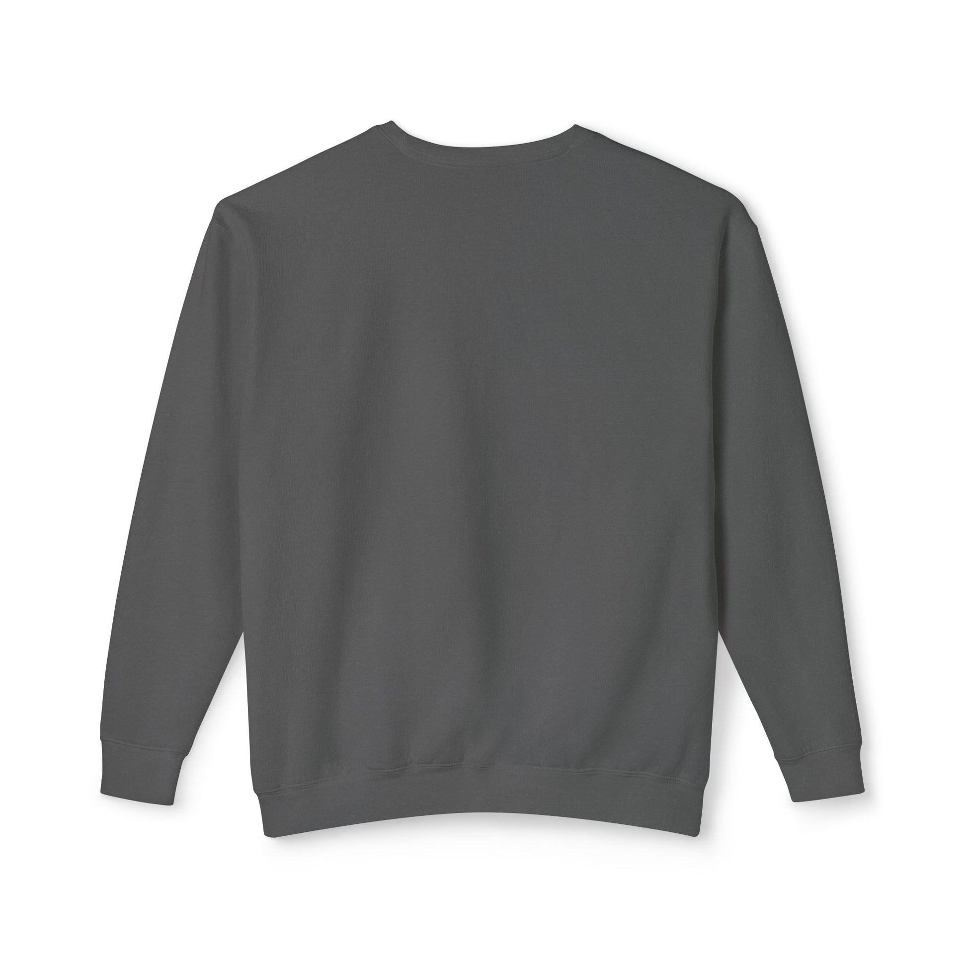 Observer Occupy Lightweight Sweatshirt - Psychonaut Swag