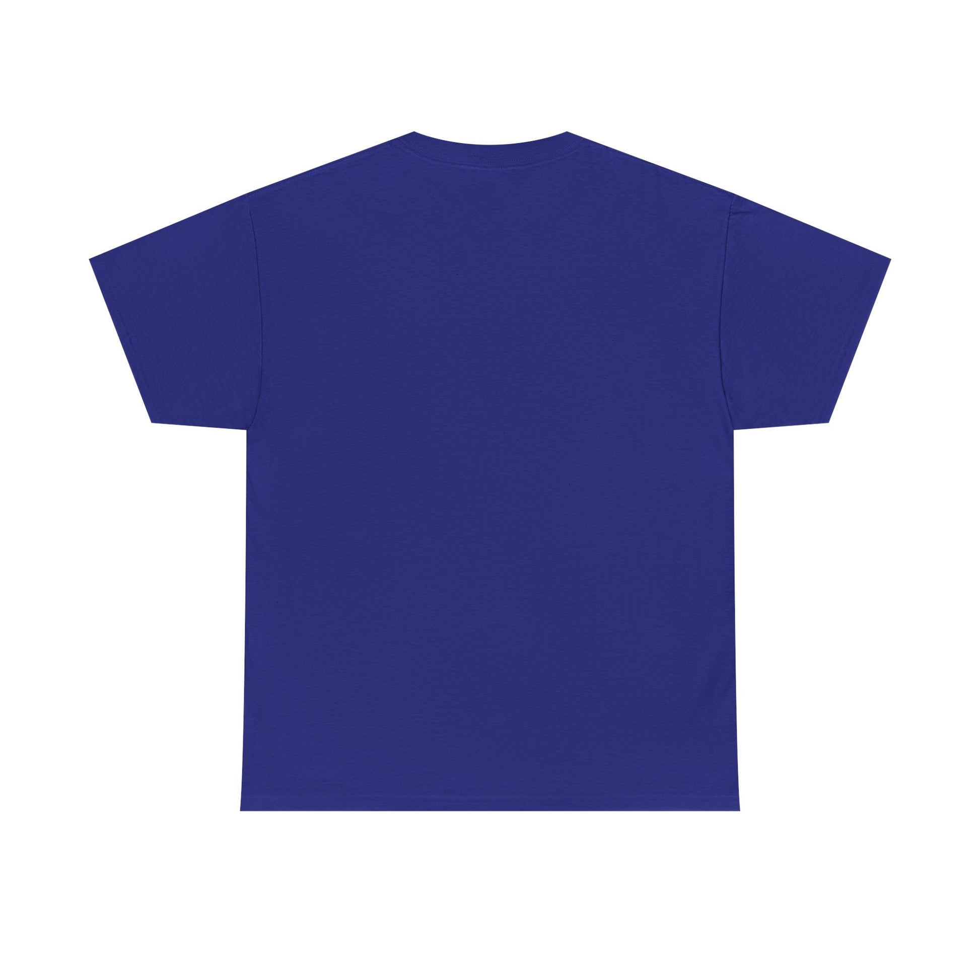 T.D.S, Unisex Heavy Cotton Tee - Psychonaut Swag